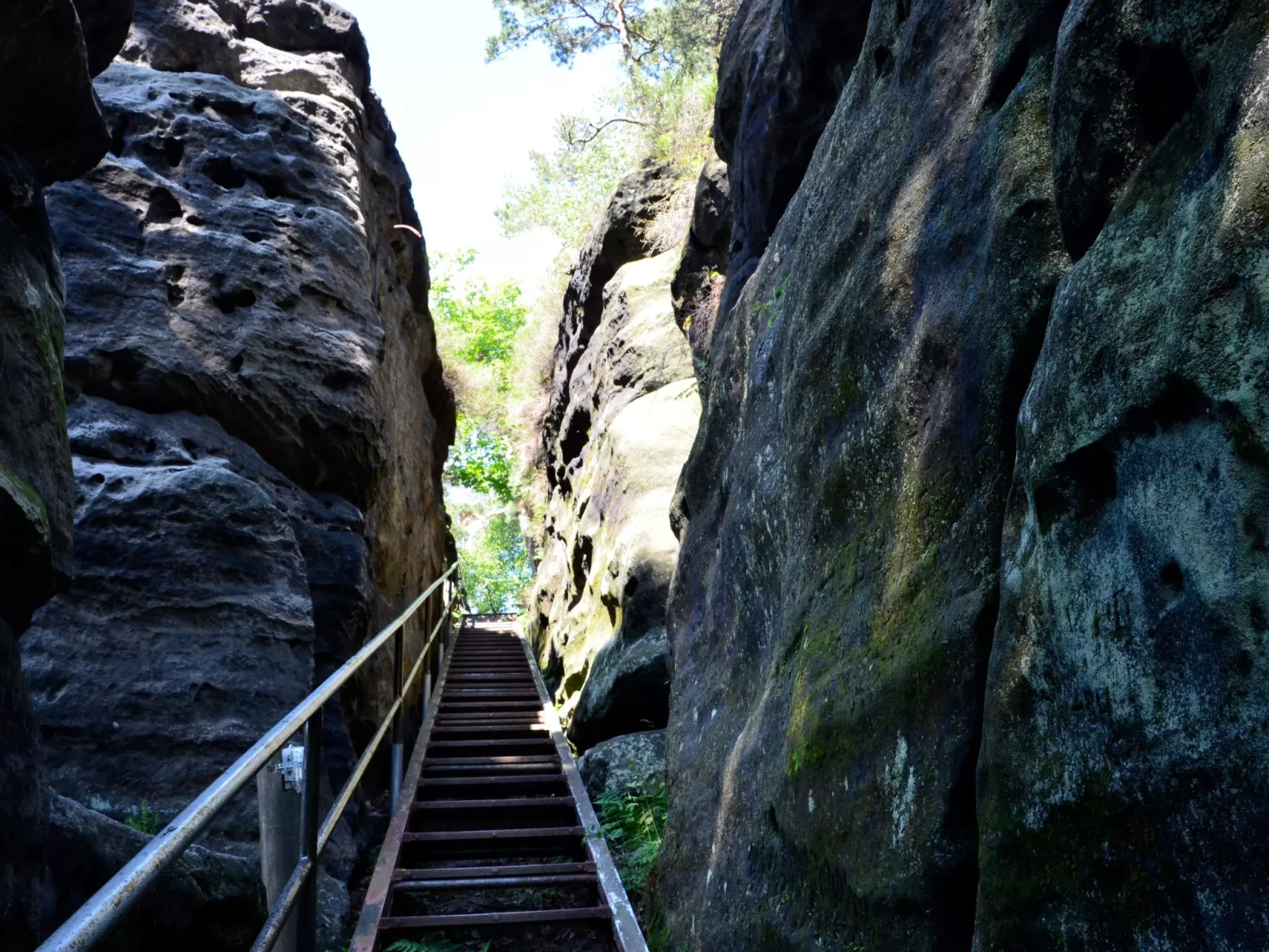 Panoramablick in Königstein-Dehors
