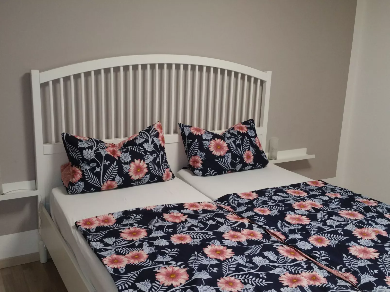 Apartment mit Hund-Drinnen