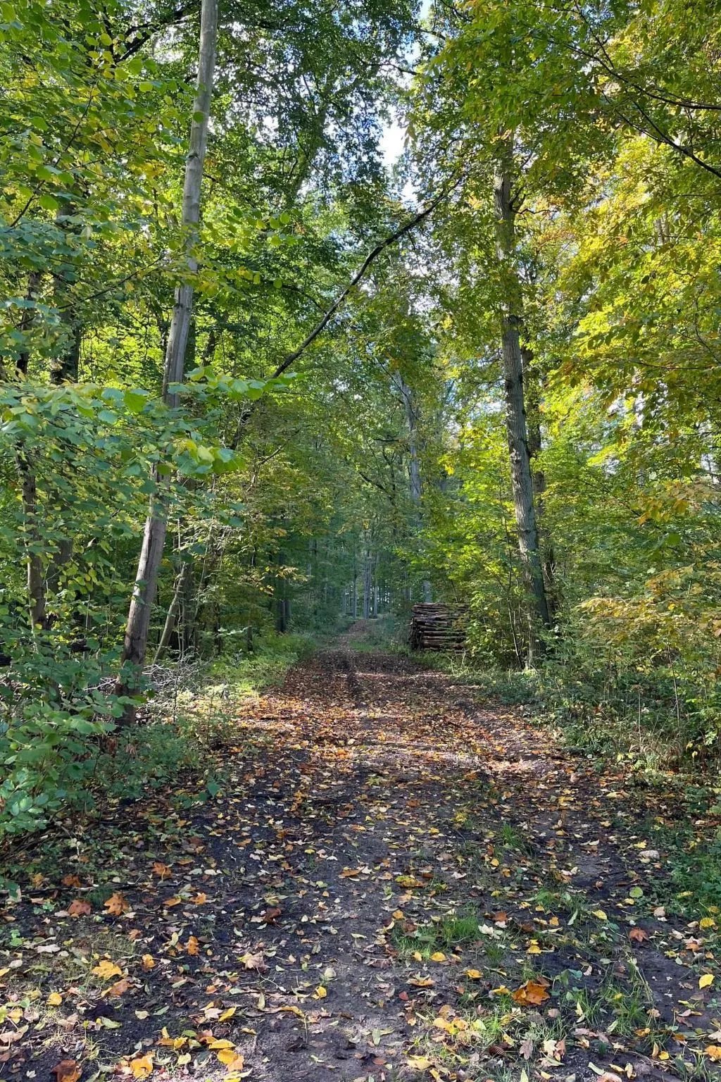 Landurlaub Mecklenburgische Seenplatte b. Waren Müritz-Outside