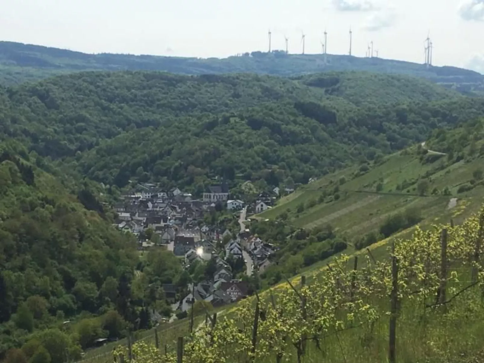 Schäfers Ferienwohnung Oberdiebach am Mittelrhein-Draußen