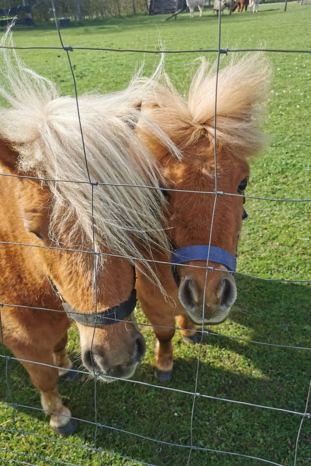 Herzfennerhof Loft-Draußen