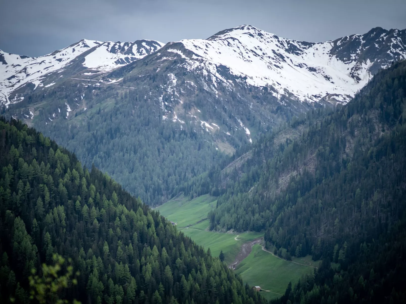 Hochberg-Image-tags.info