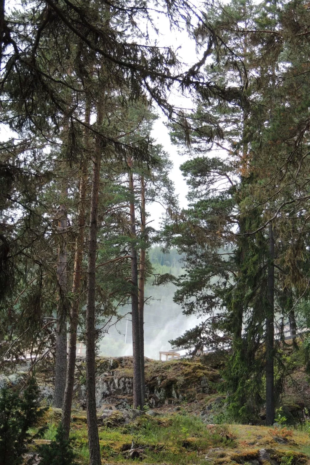 Solbacken Cottage-Draußen