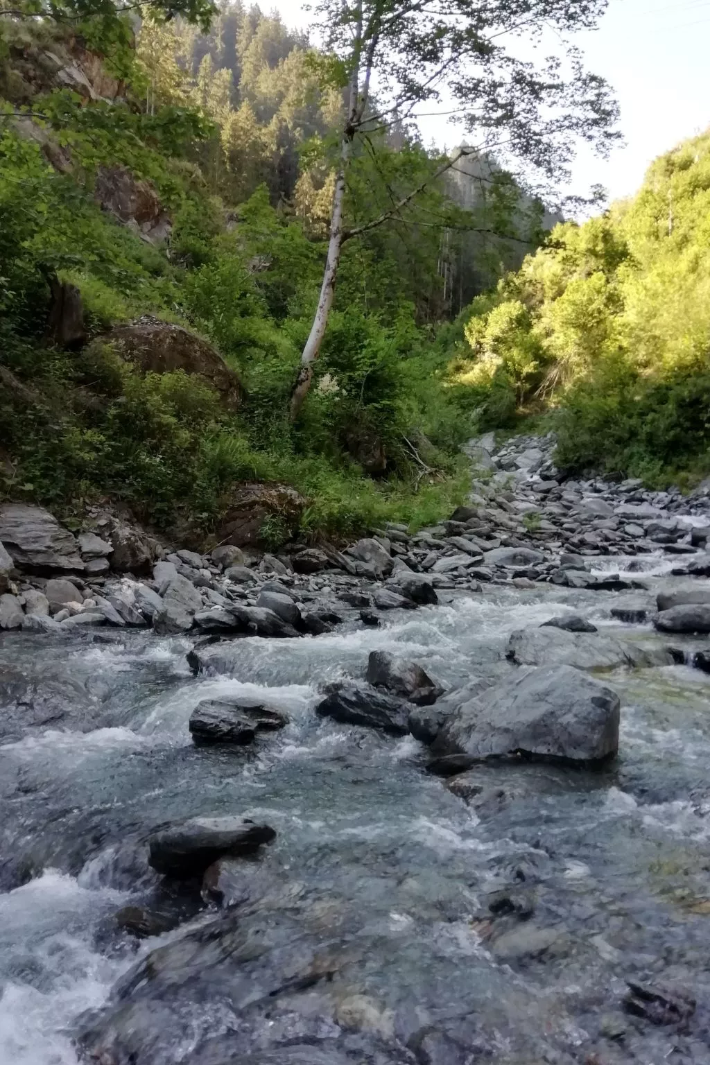 Das Zwölferl-Dehors