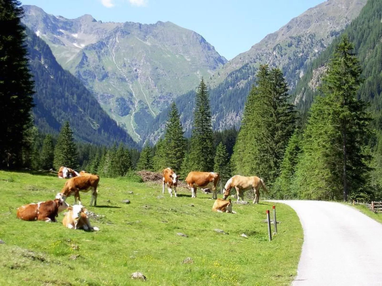 Chalet Gove für Unterkunft mit Halbpension unter der Leitung des Eigentümers-Outside