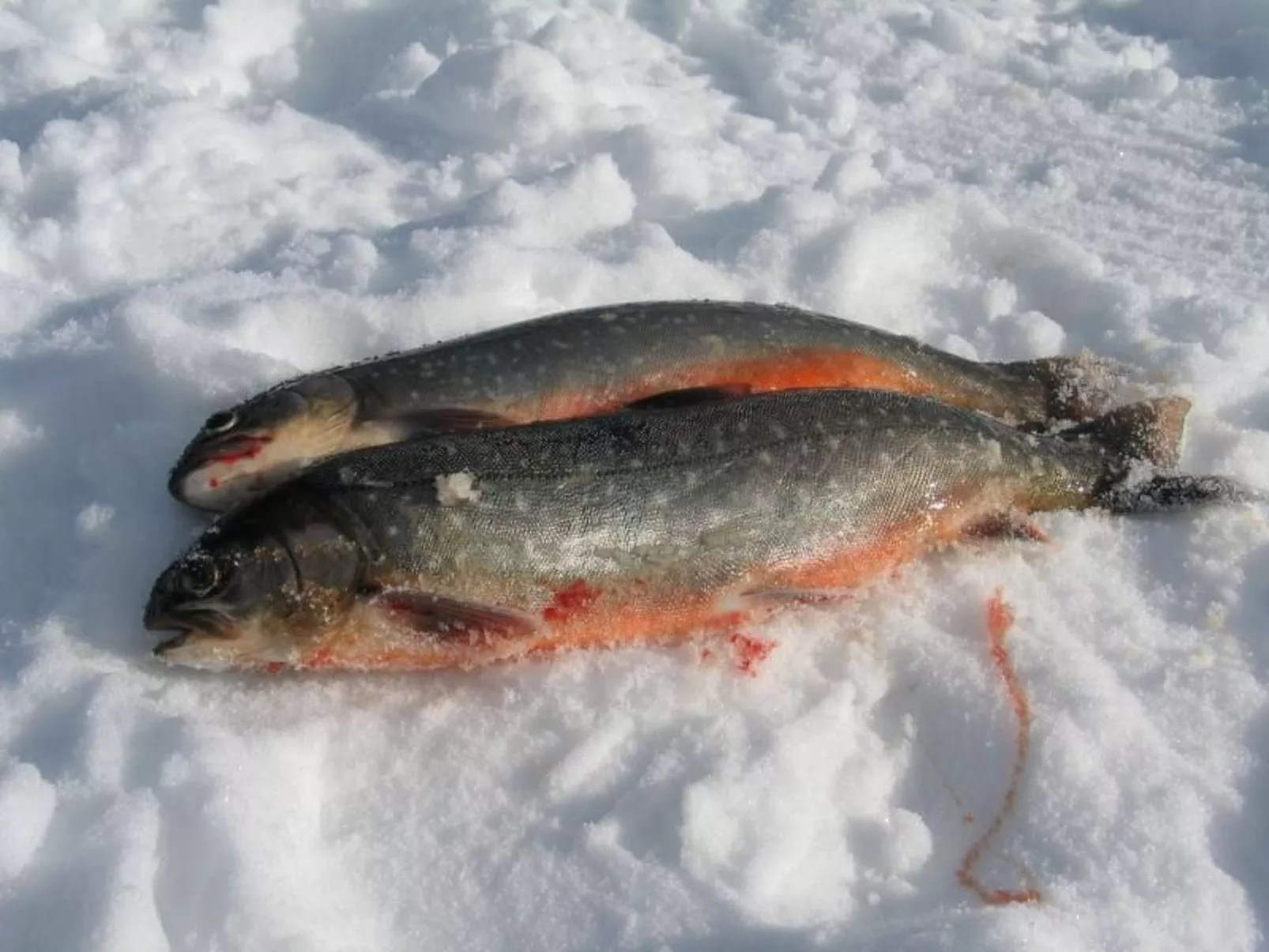 Gemütliches Blockhaus mit Kamin im Oviksfjäll-Image-tags.info