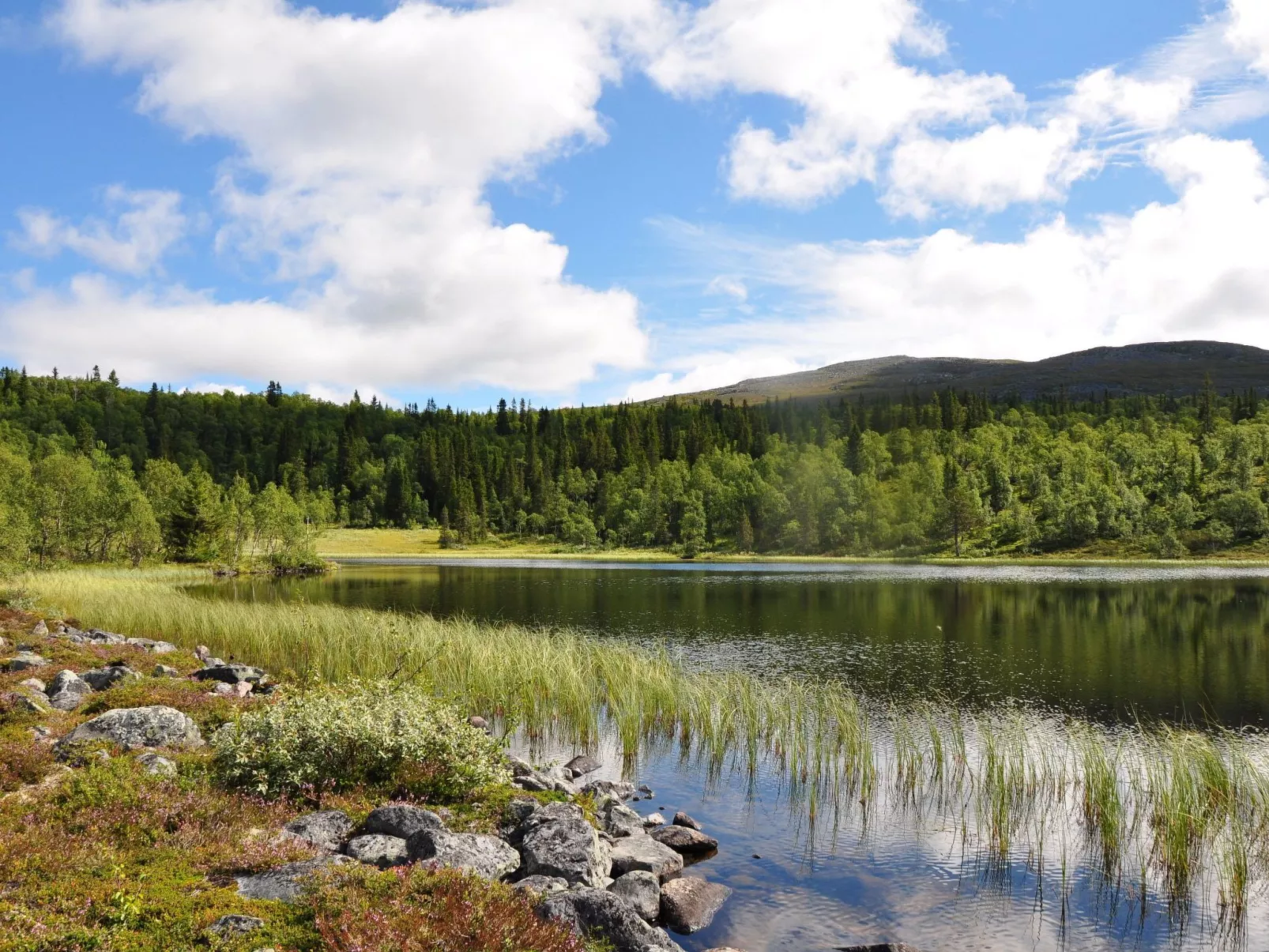 Charmantes modernes Blockhaus mit Kamin-Outside