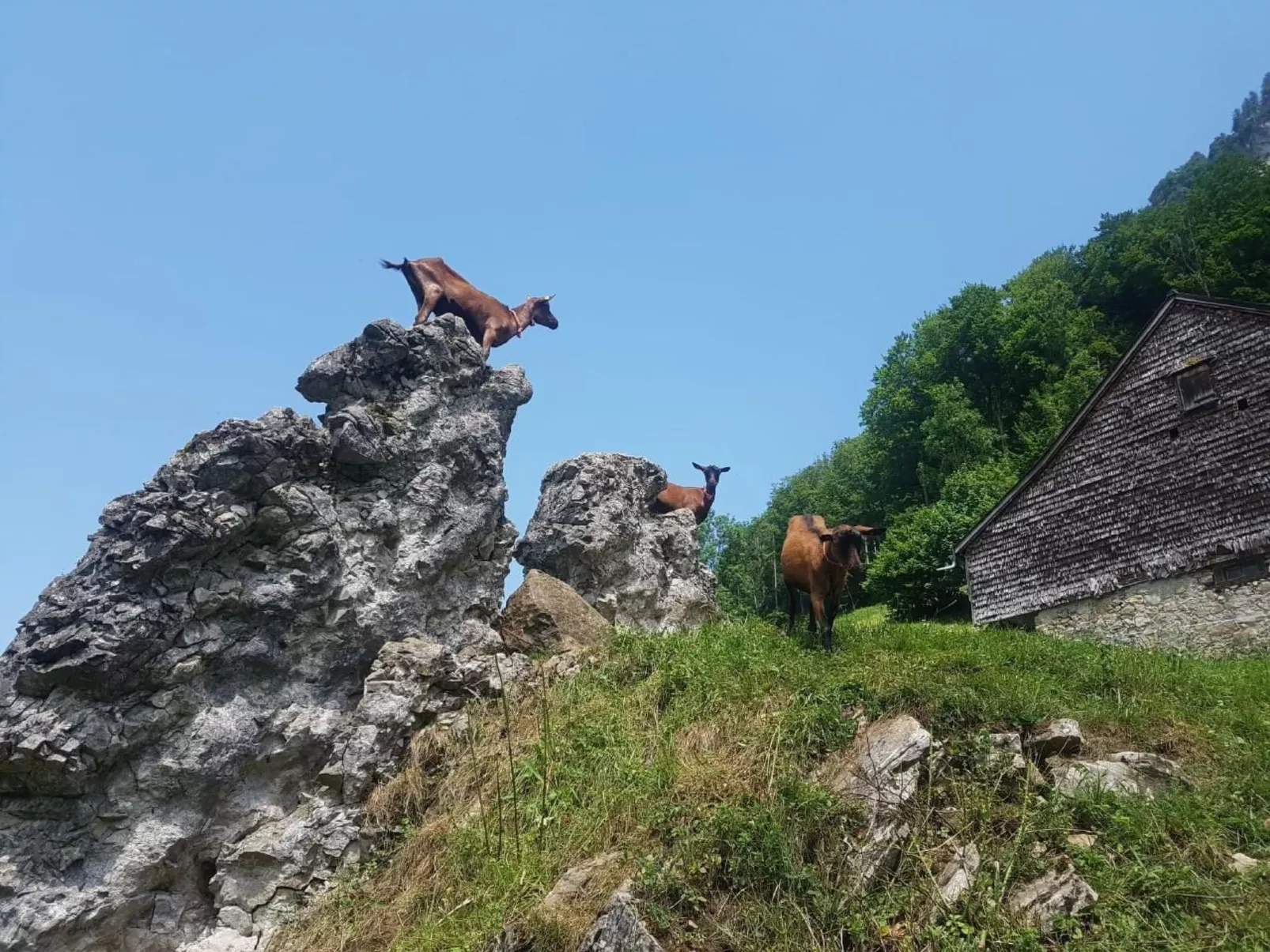 Ferien im Gugger - Wohnung Stockberg-Outside