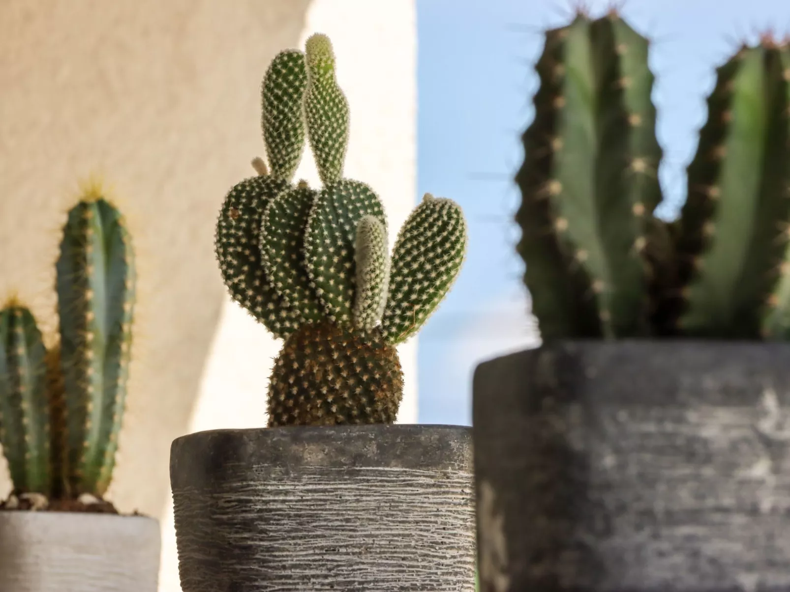 Villa Mi, Rukavac, Opatija Riviera-Dedans