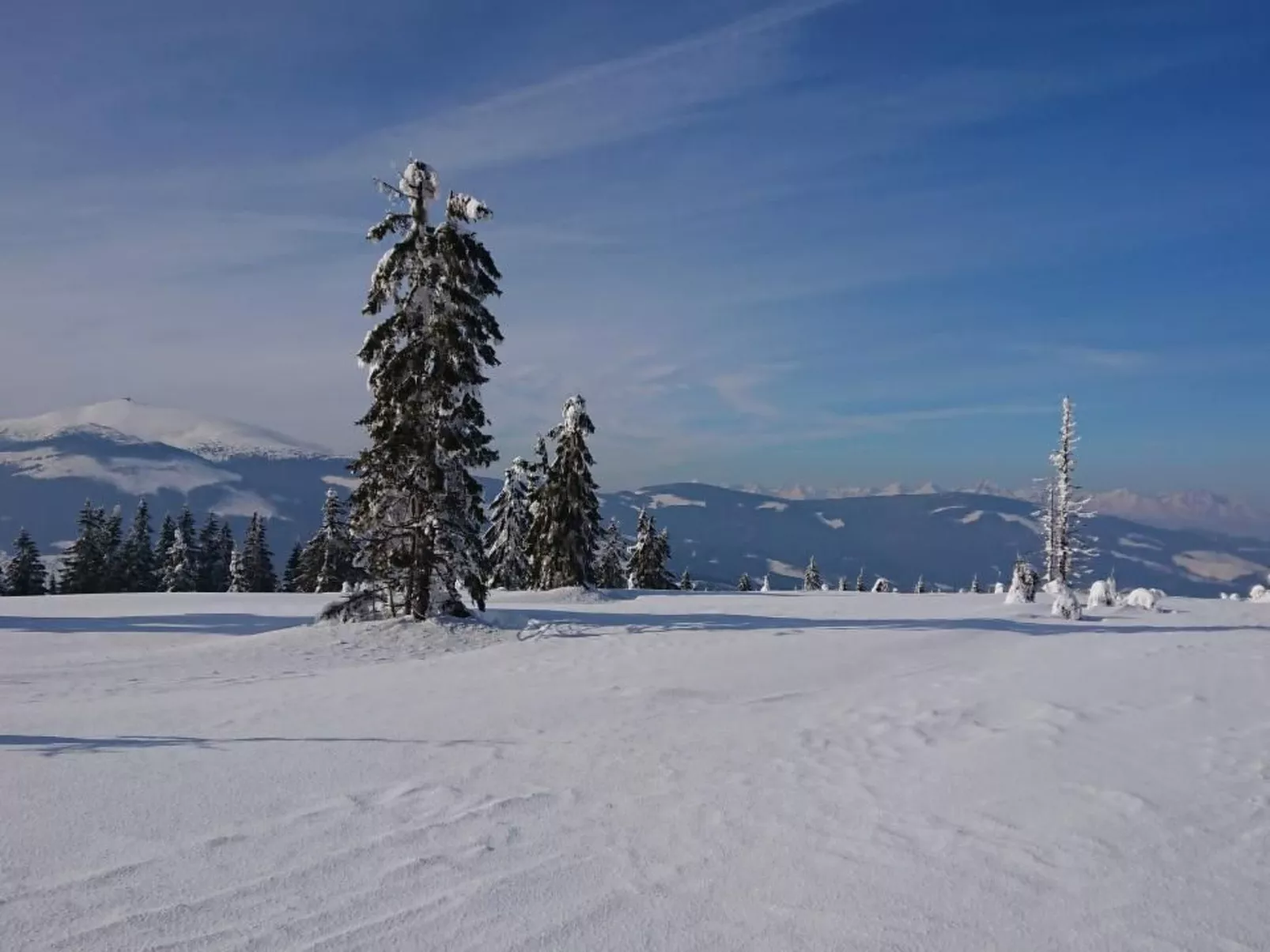 Nettes Ferienhaus in Telgárt-Dehors
