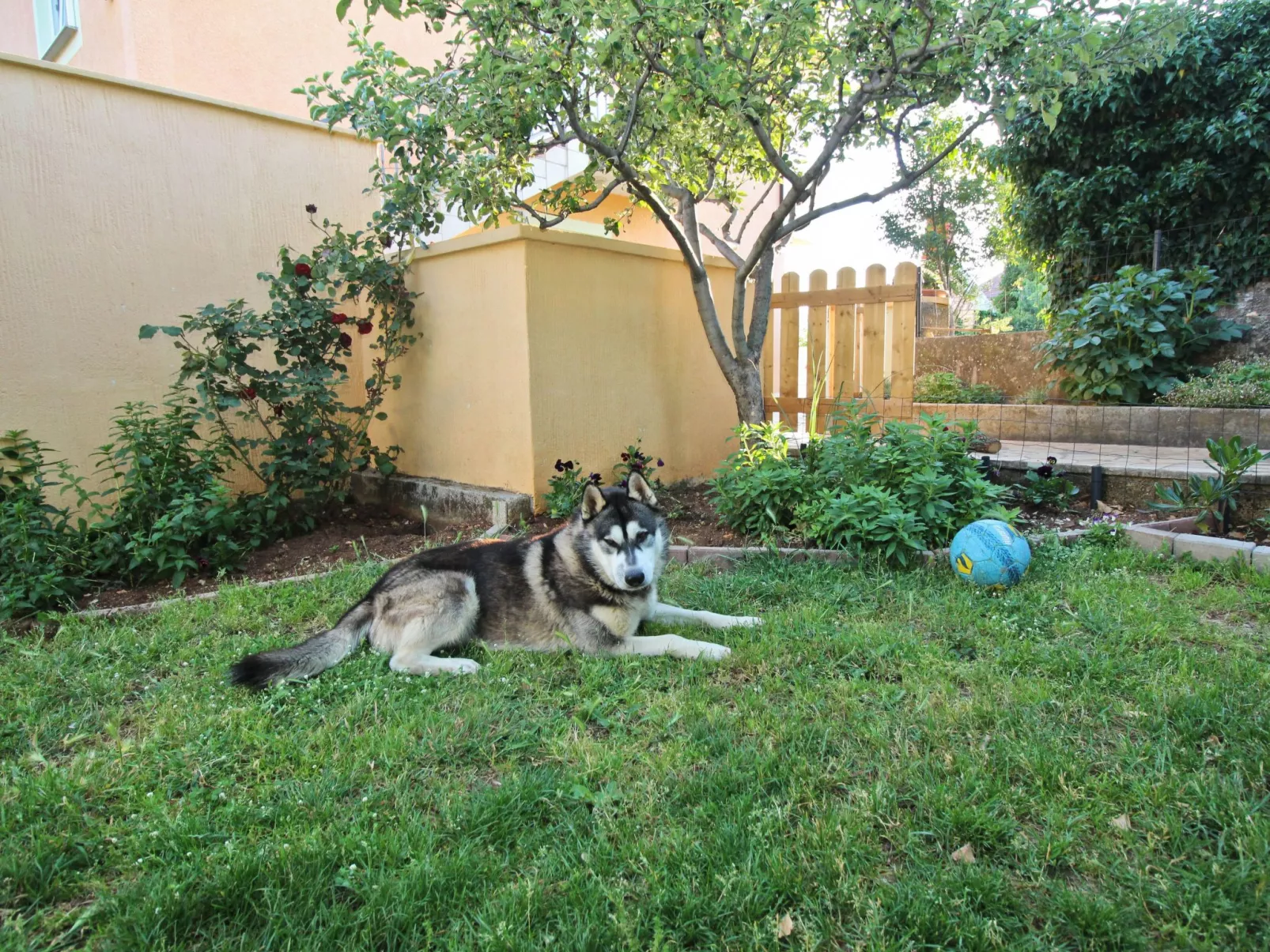 Apartment TOP 2-Image-tags.info