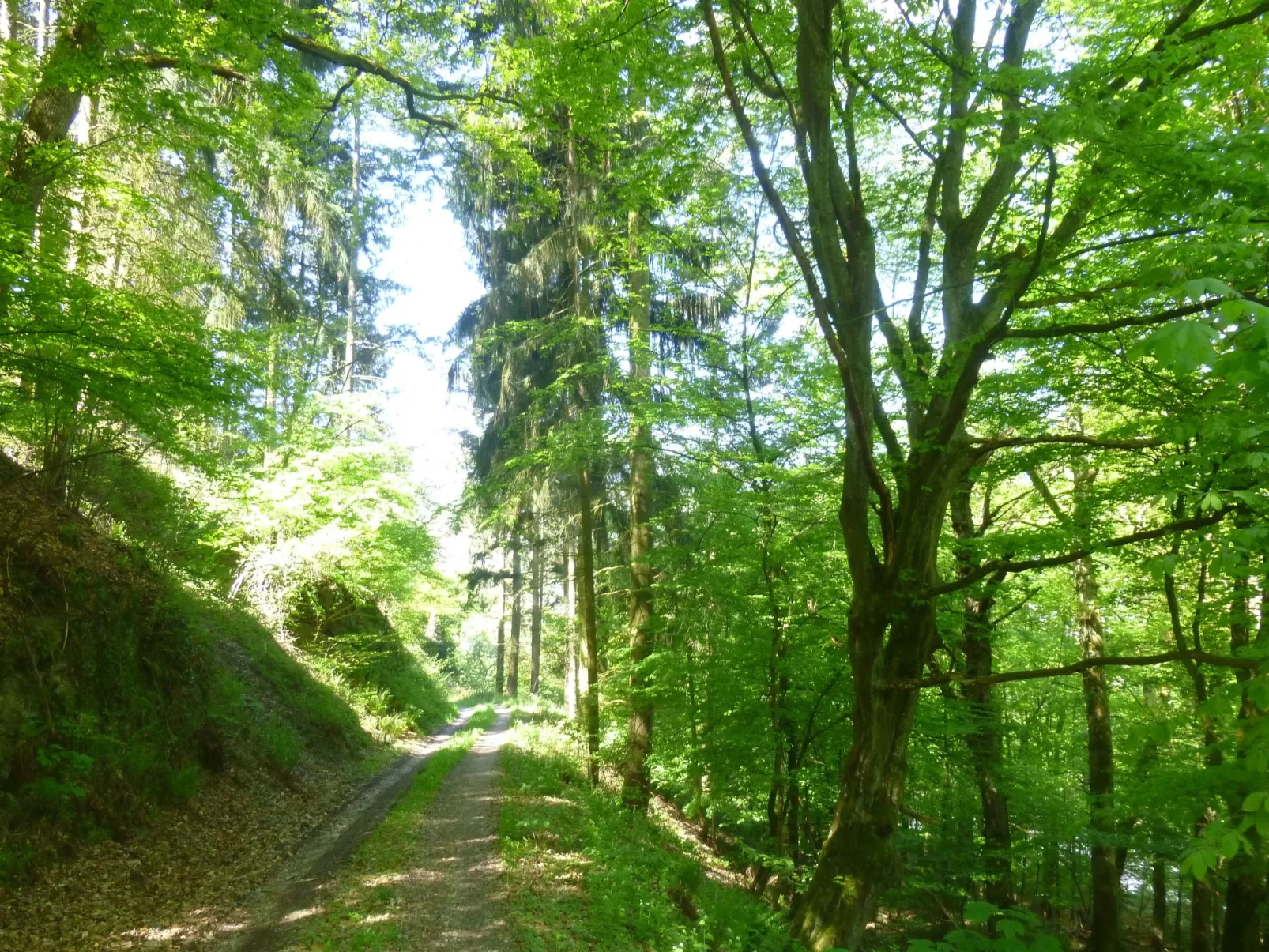 Moselschiefer-Traumferienwohnung am Moselufer-Outside