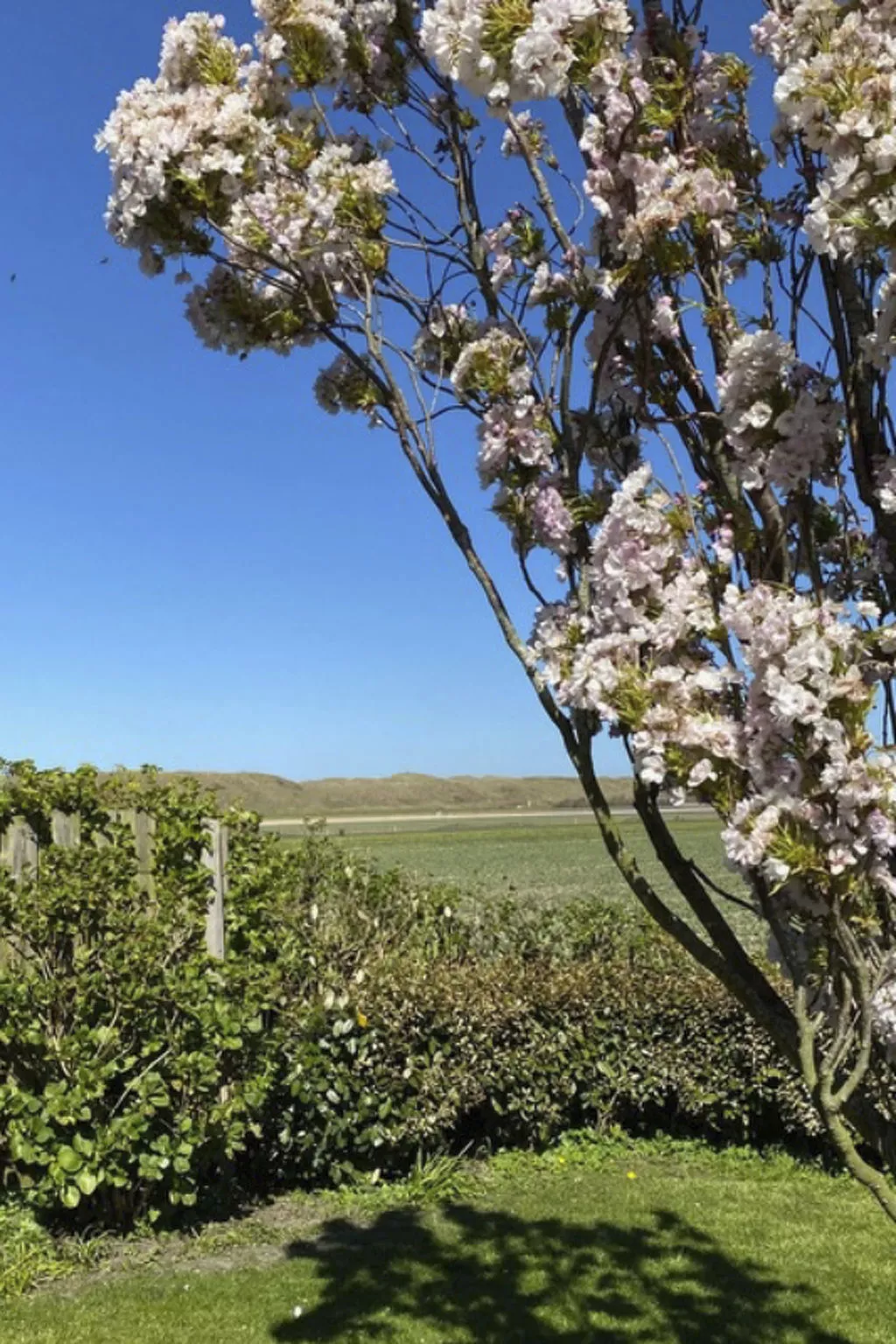 "Casa Juliana" mit privatem Garten-Draußen