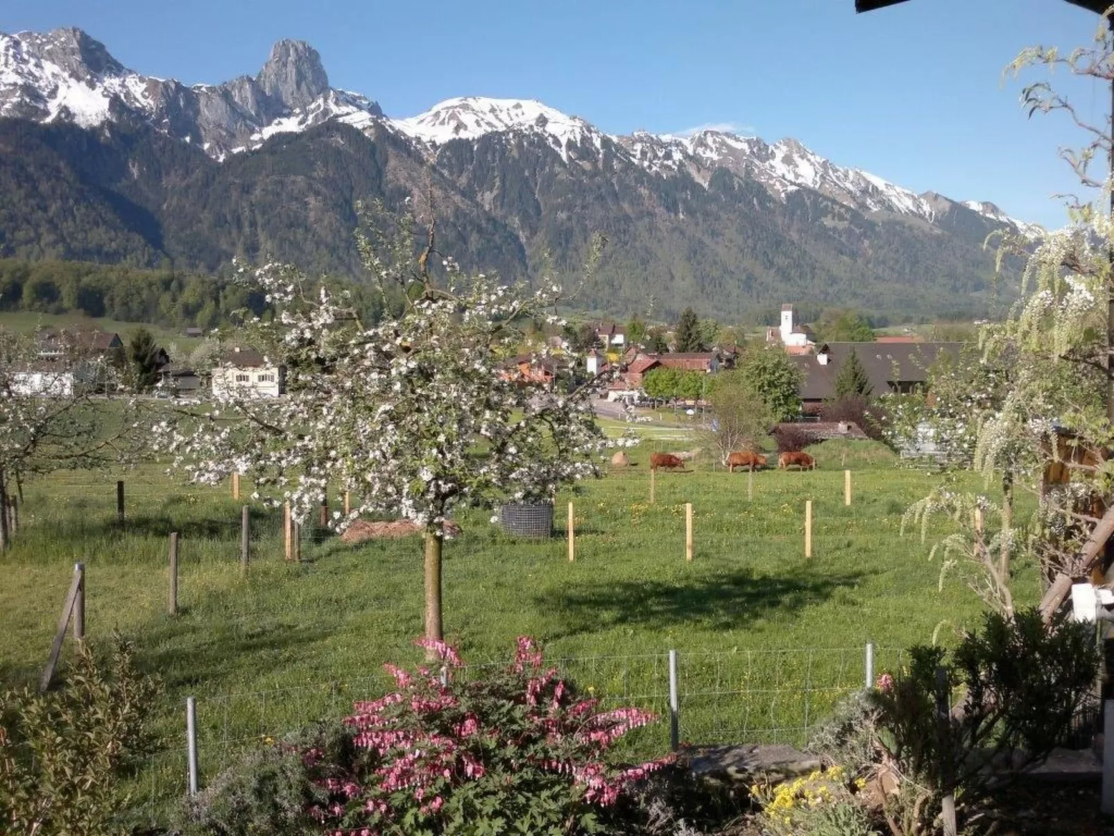 Stockhornblick-Draußen