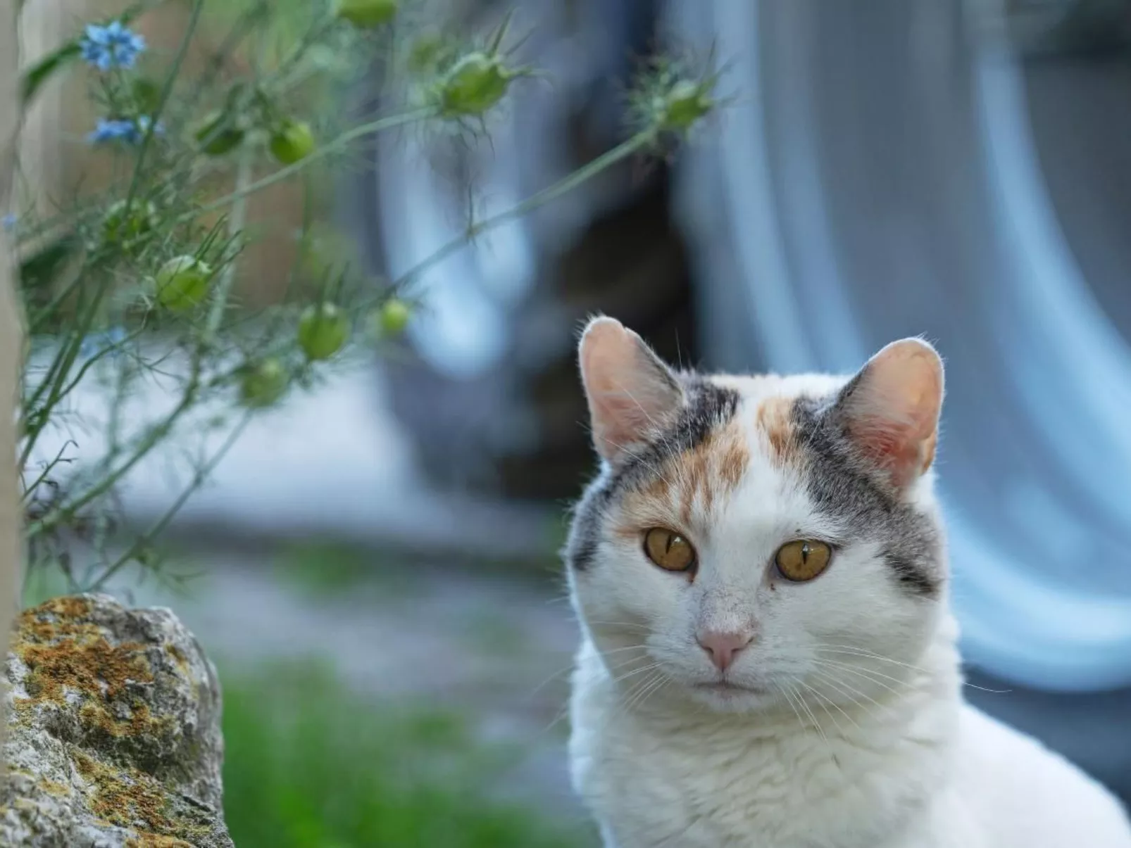 Eggenhof Ferien-Dehors