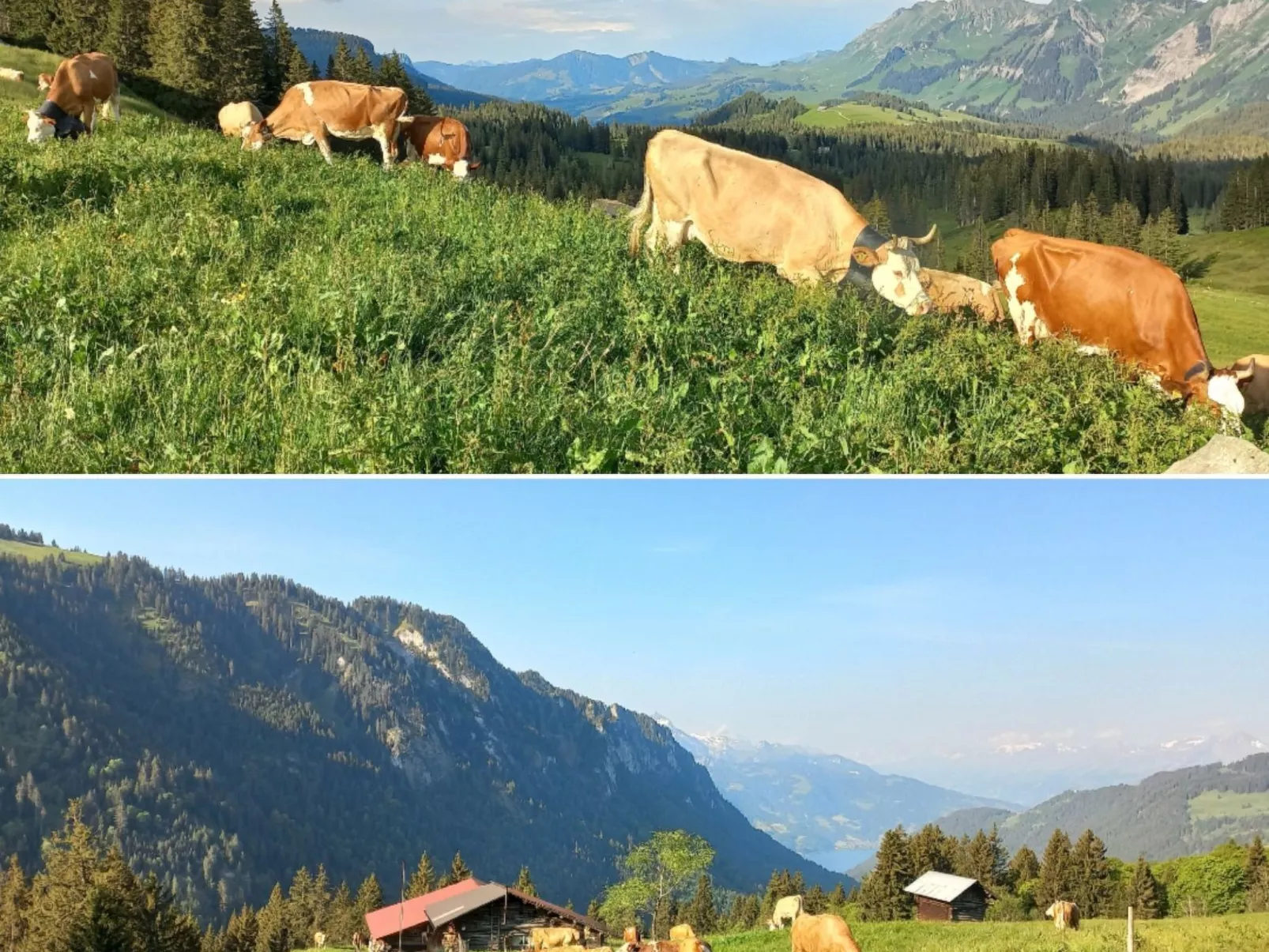 Fewo Wychelboden-Outside