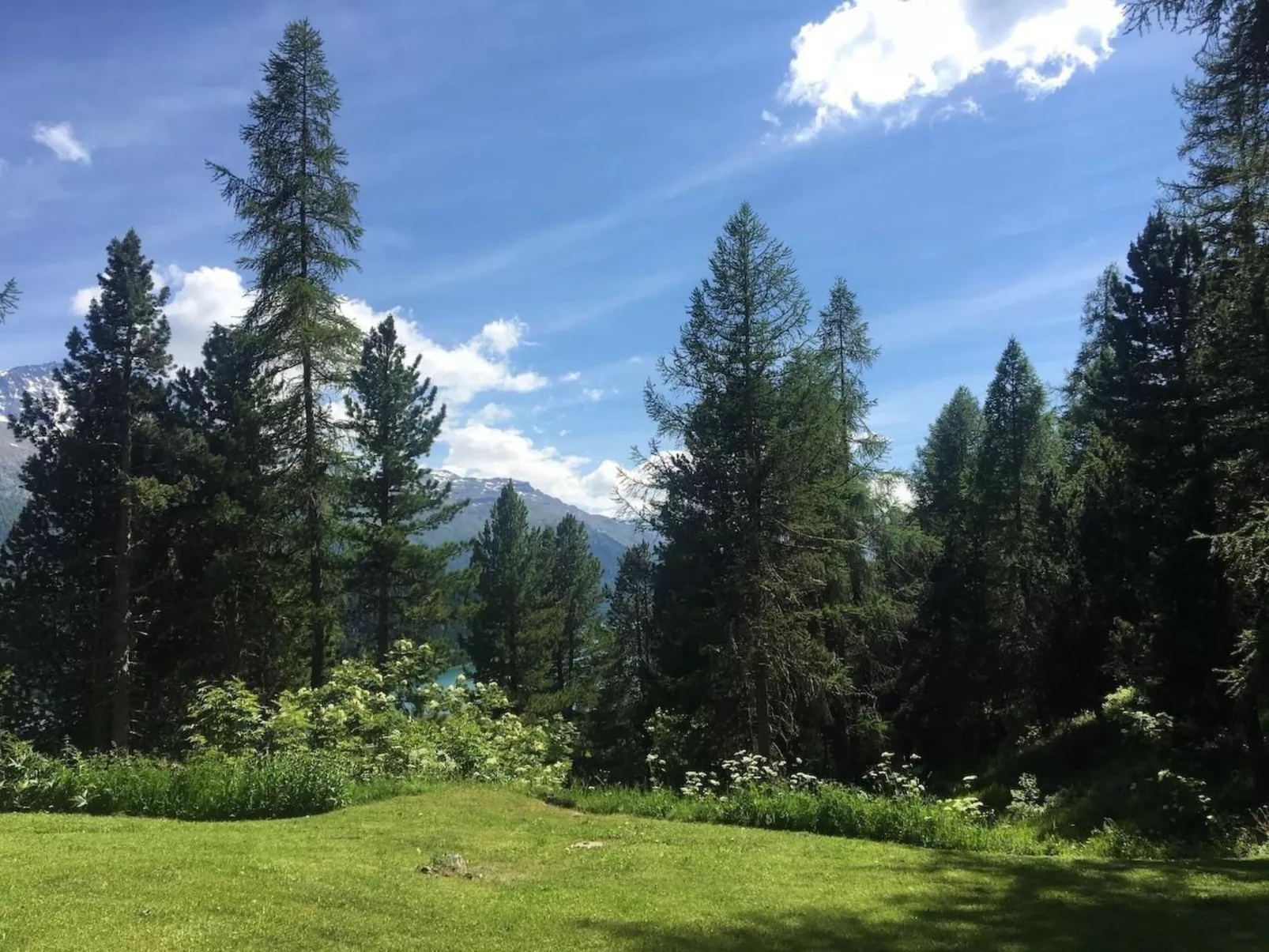 Chesa Bindschedler-Dehors