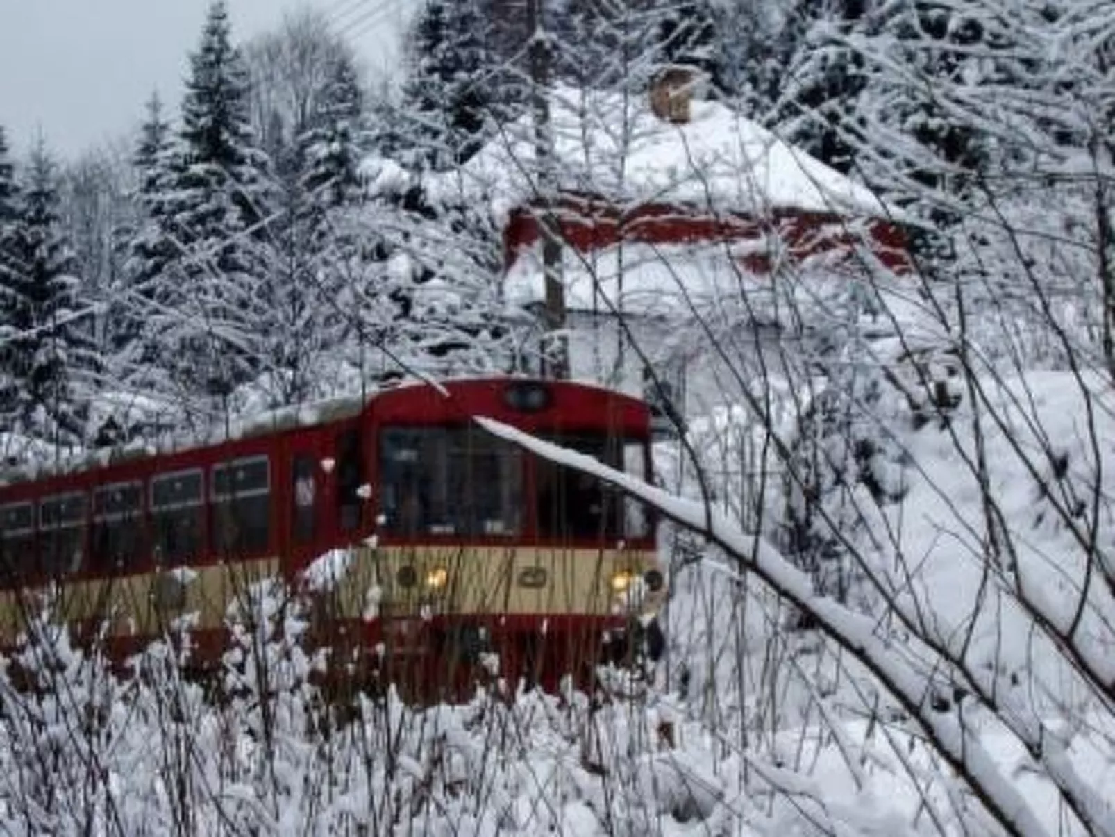 U Semushky-Image-tags.info