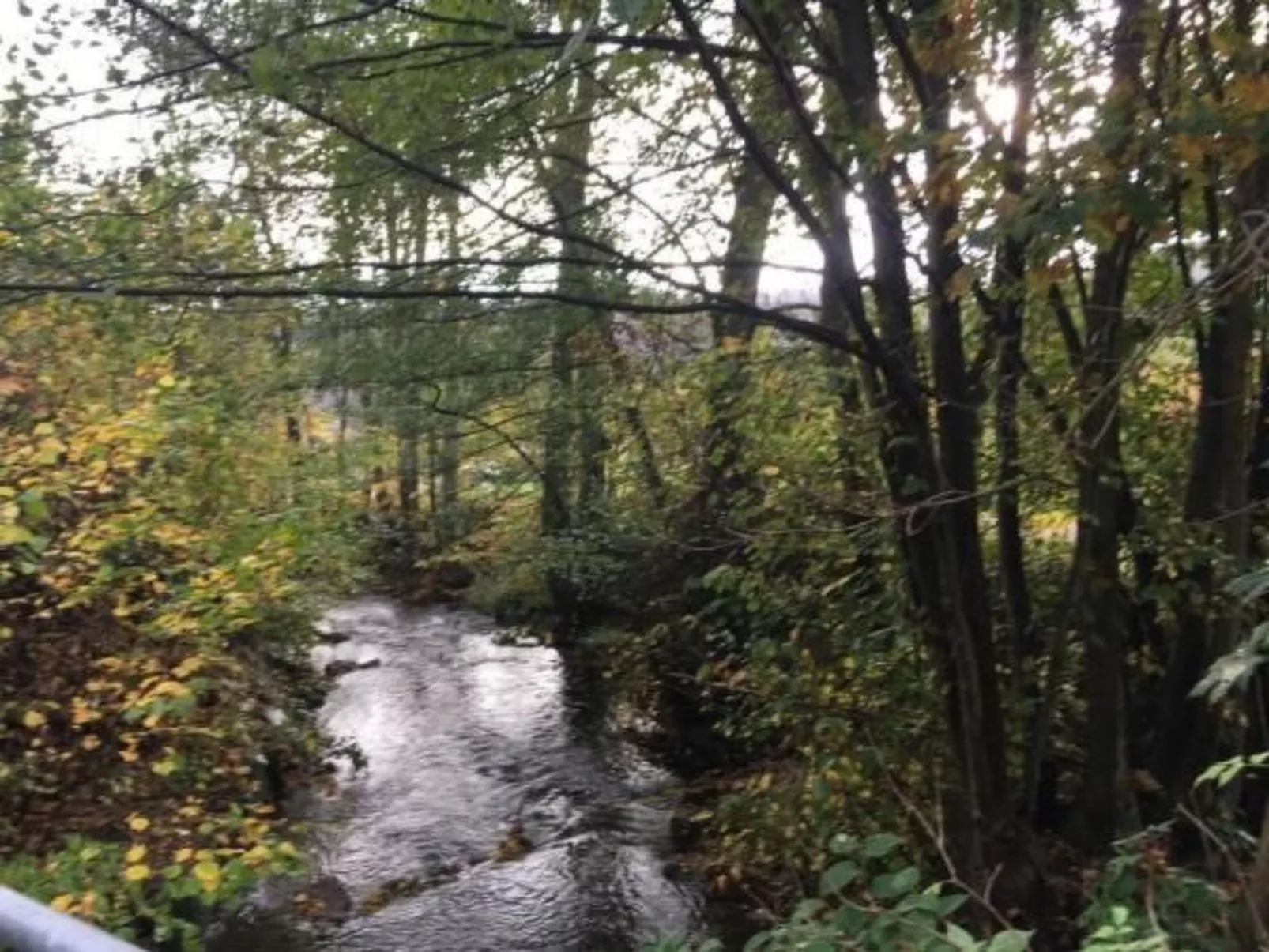 Ferienapartm. Adler-Draußen