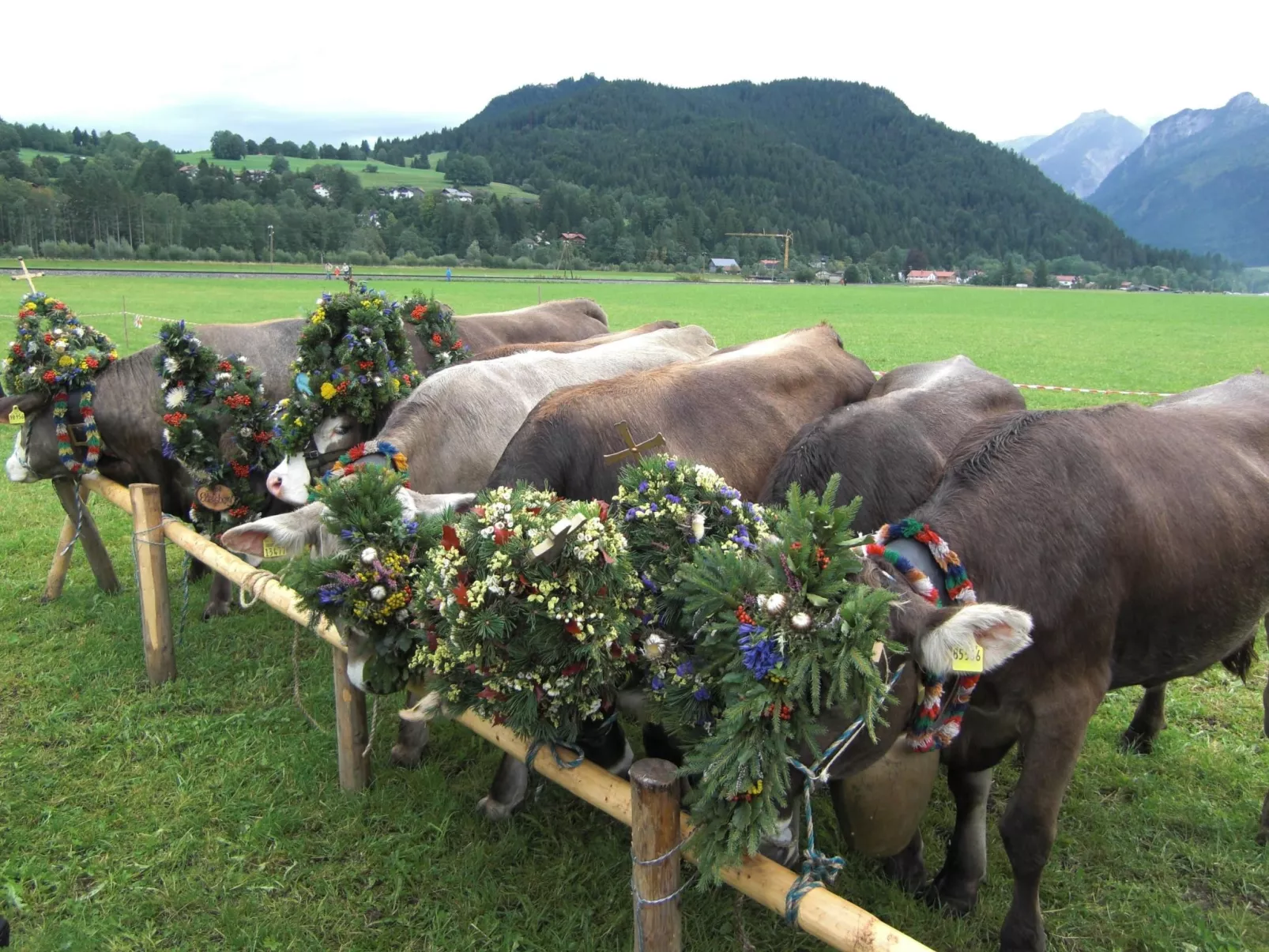 Am Rosengarten-Image-tags.info