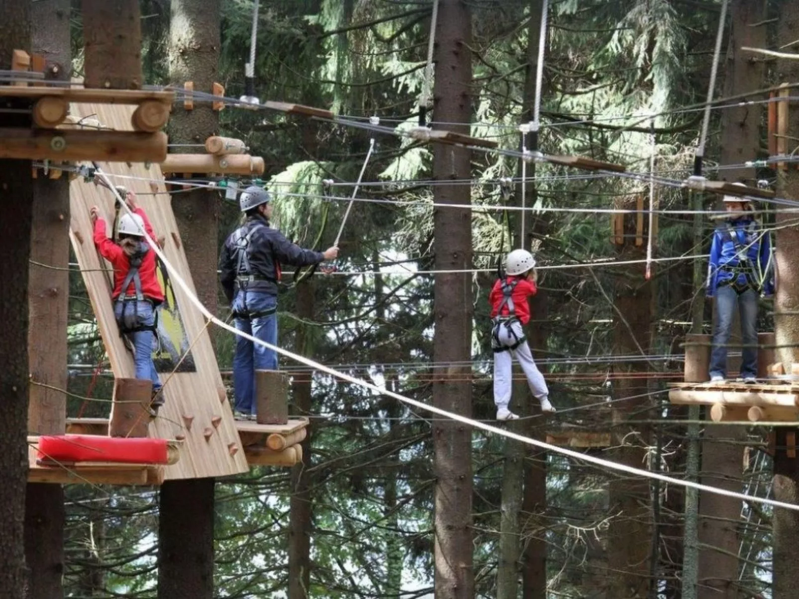 Bayernwald Apartment-Image-tags.info