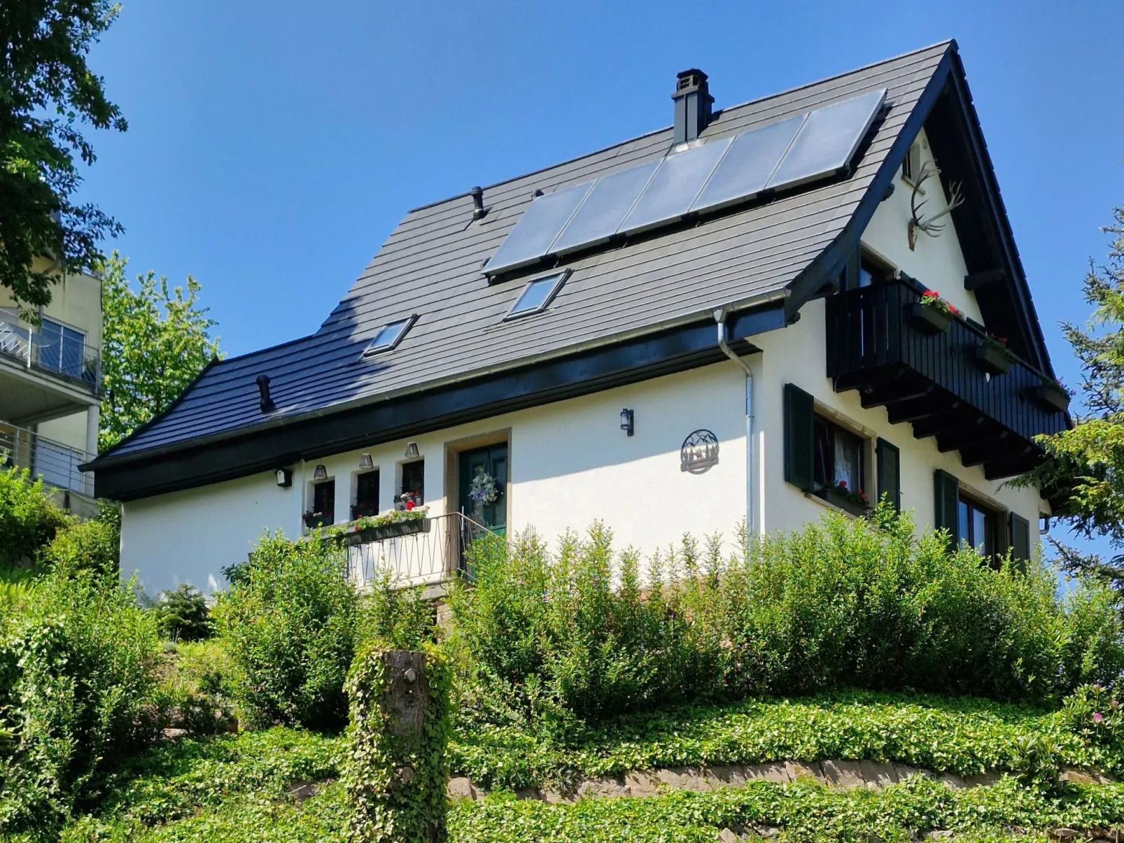 Schwarzwald Königin-Dehors