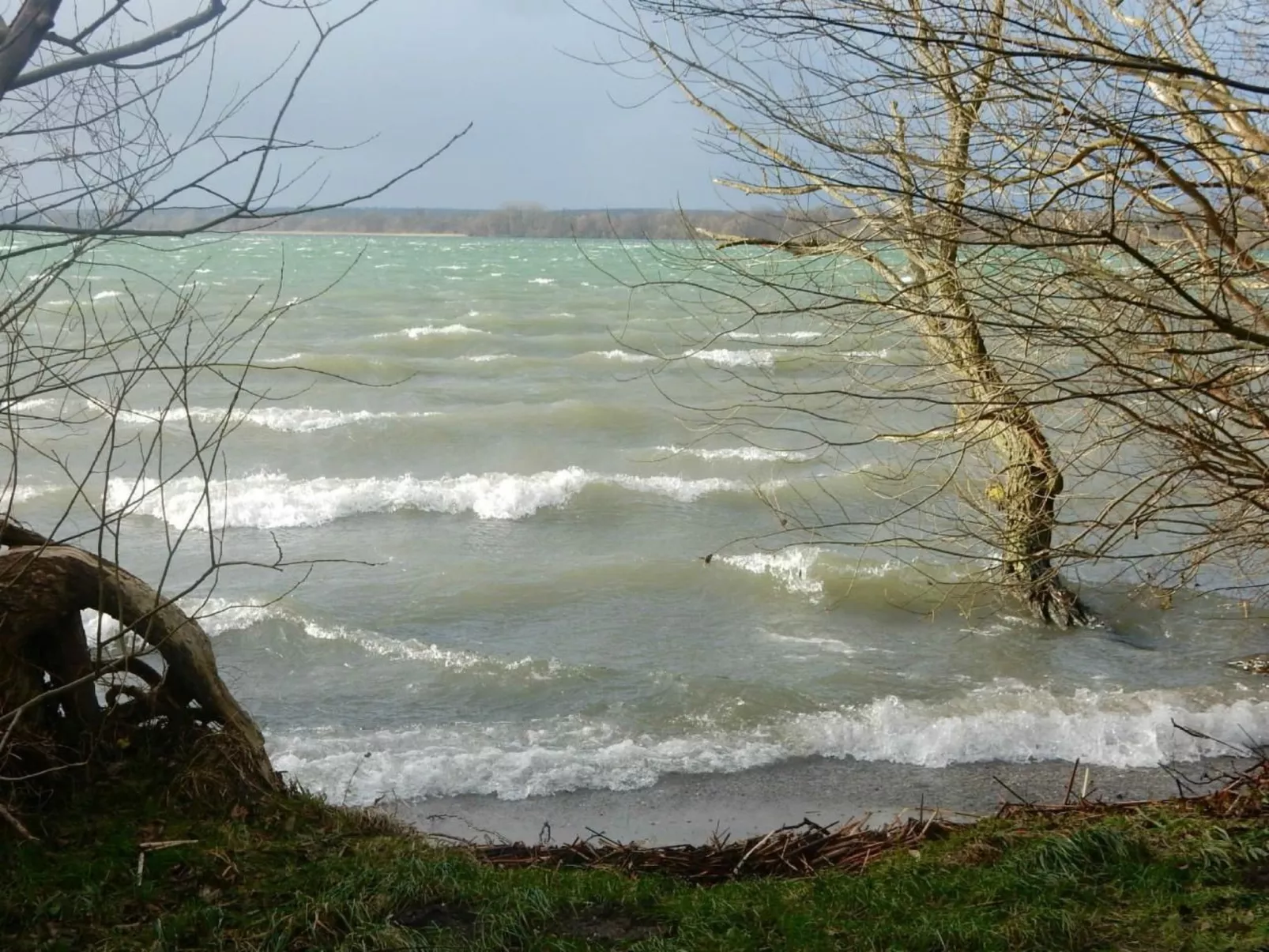 Luise-Image-tags.info