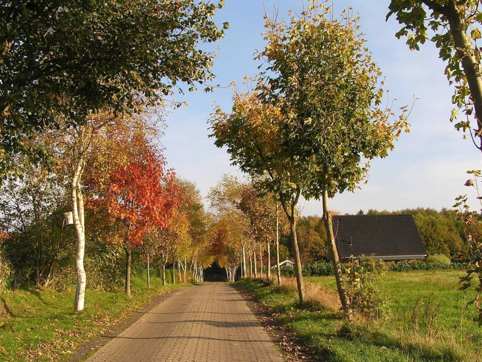Bungalow Hechthausen-Draußen