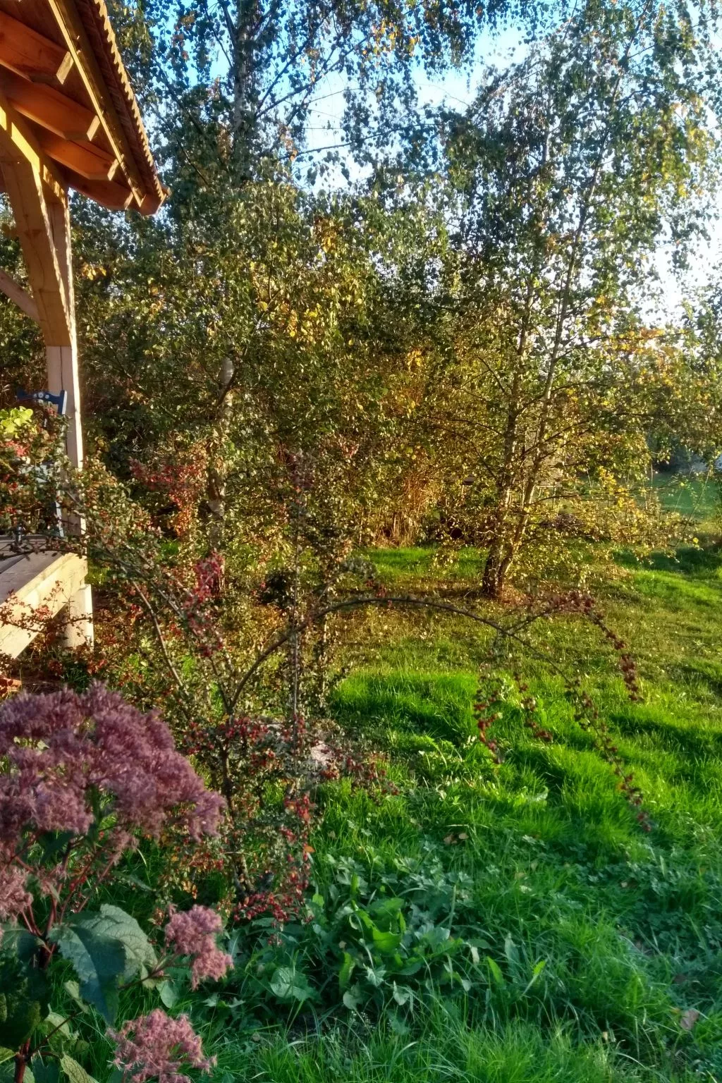 Urlaub Zirkuswagen-Image-tags.info