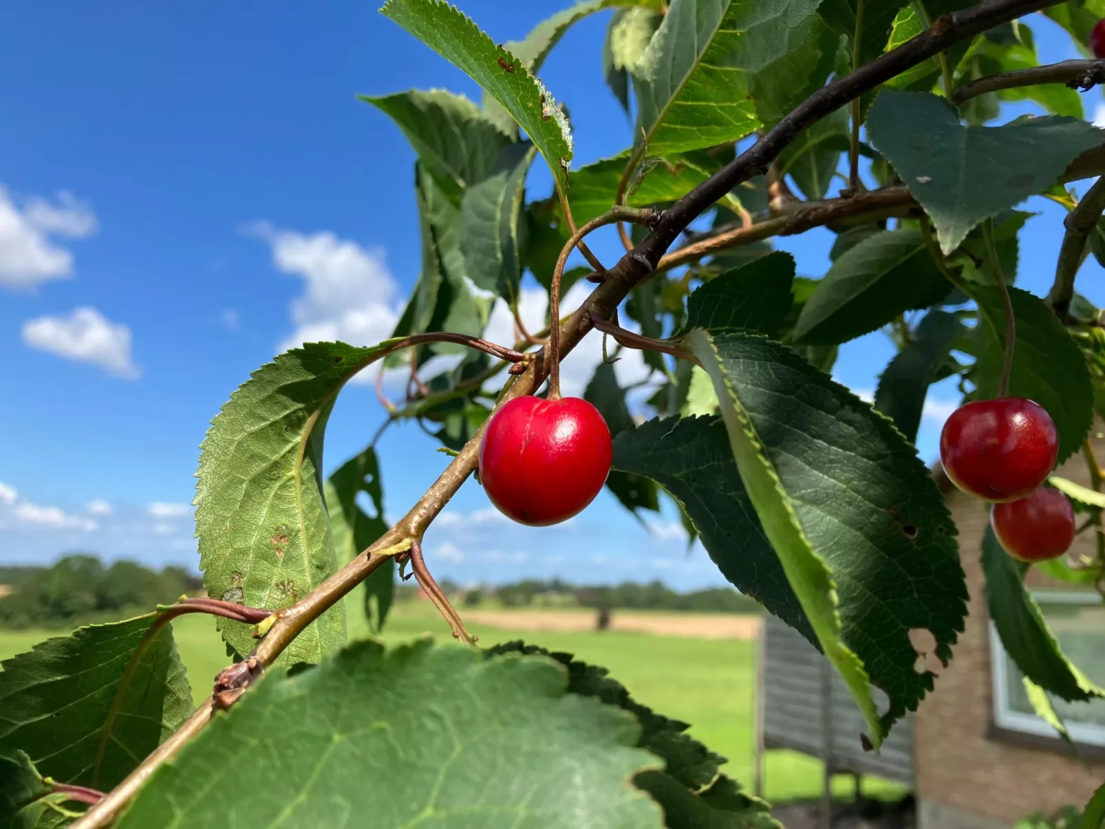 Gemütliche Ferienwohnung in Brodersby-Schönhagen-Outside
