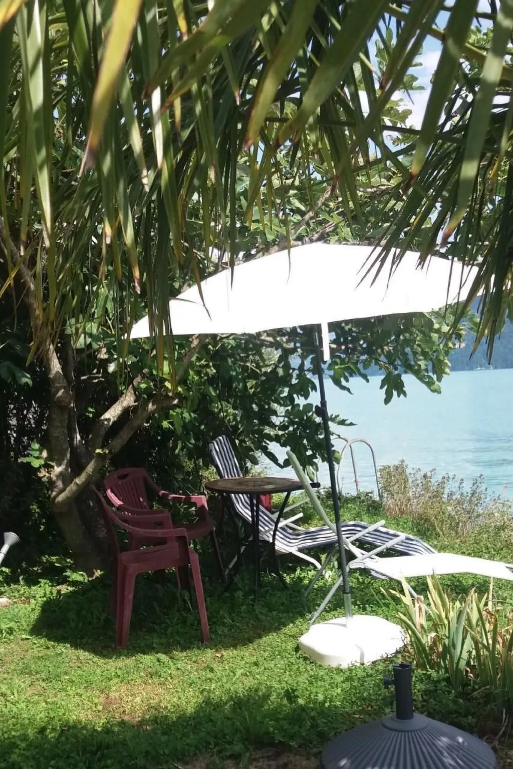 Chalet Holzwurm-Draußen