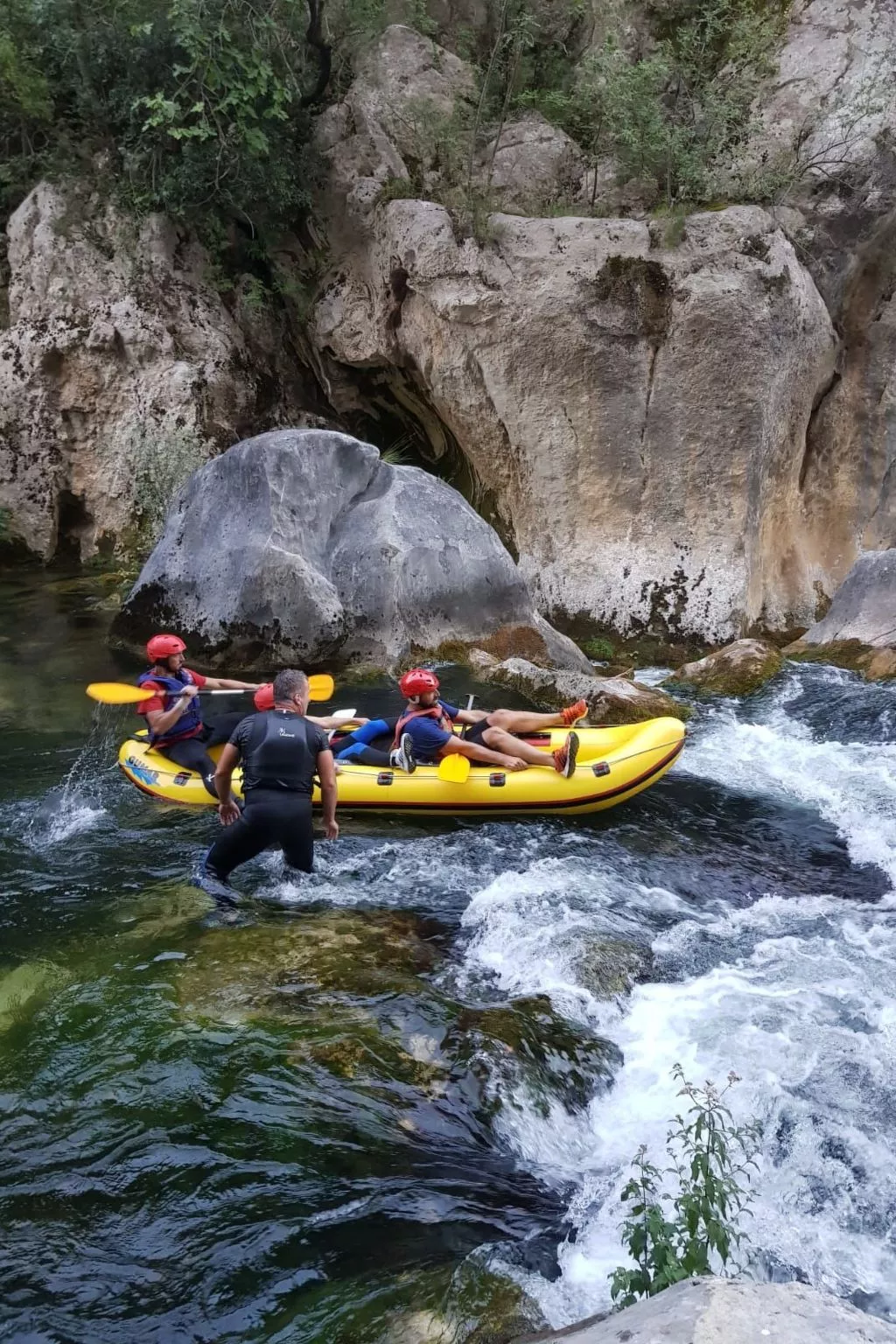 La Finca OliveTree-Outside