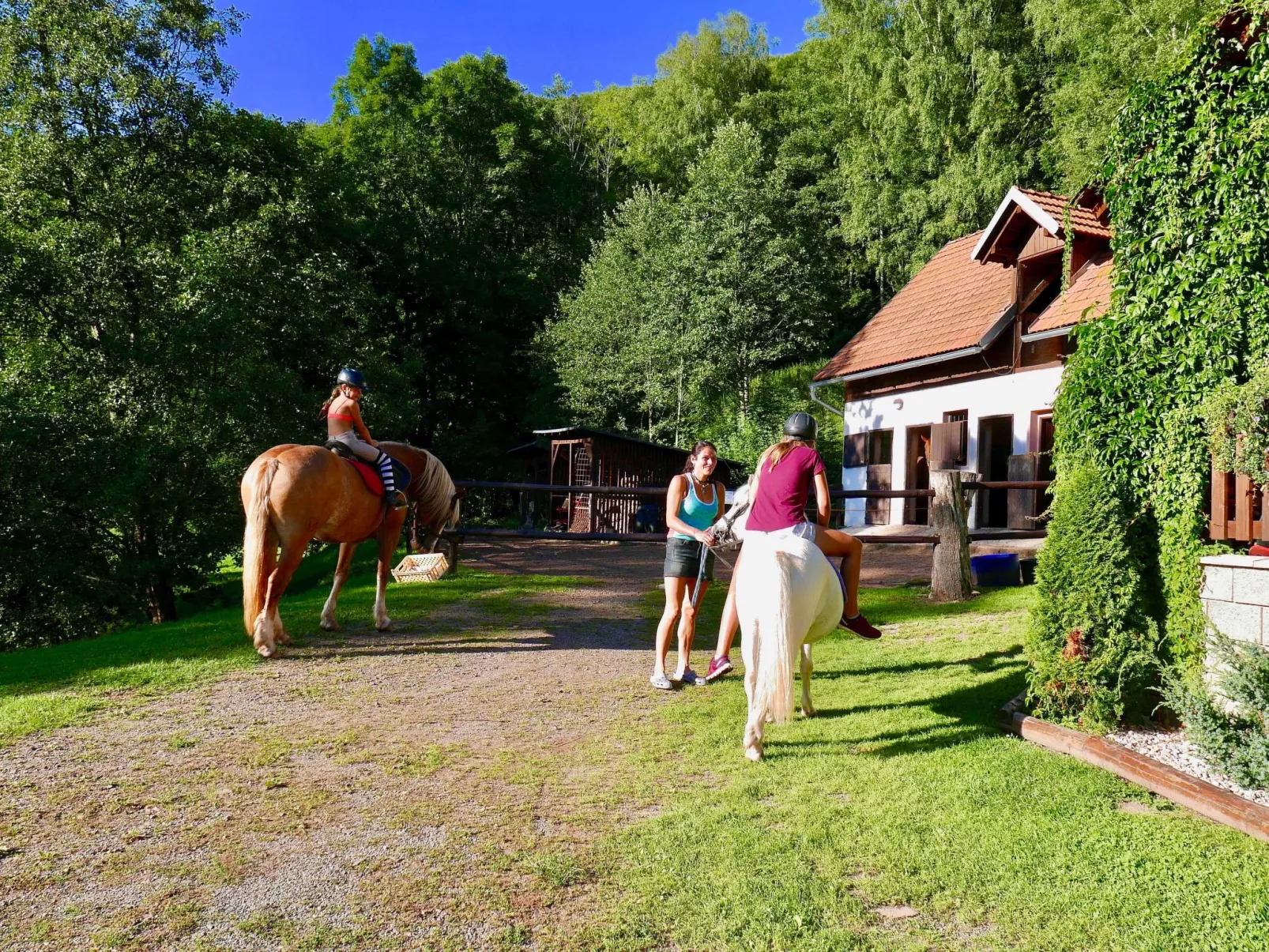 Mit Terrasse - Dehors