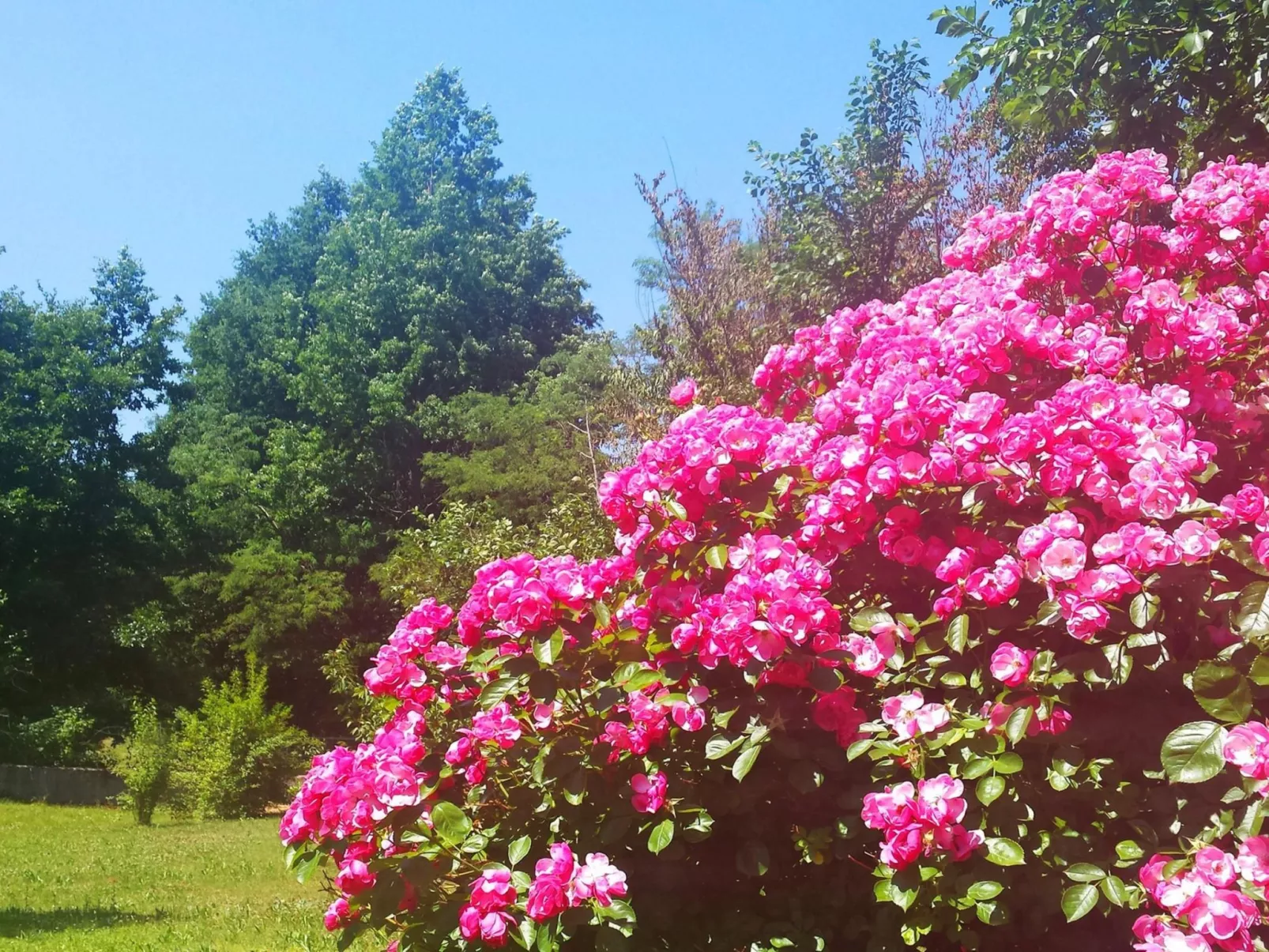 Romantische Villa mit weitläufigem Garten-Outside