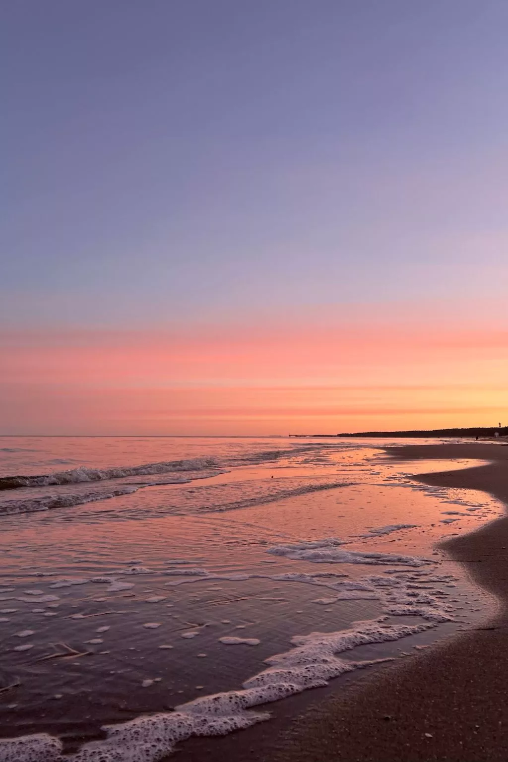 Lobster im Nauticum-Outside
