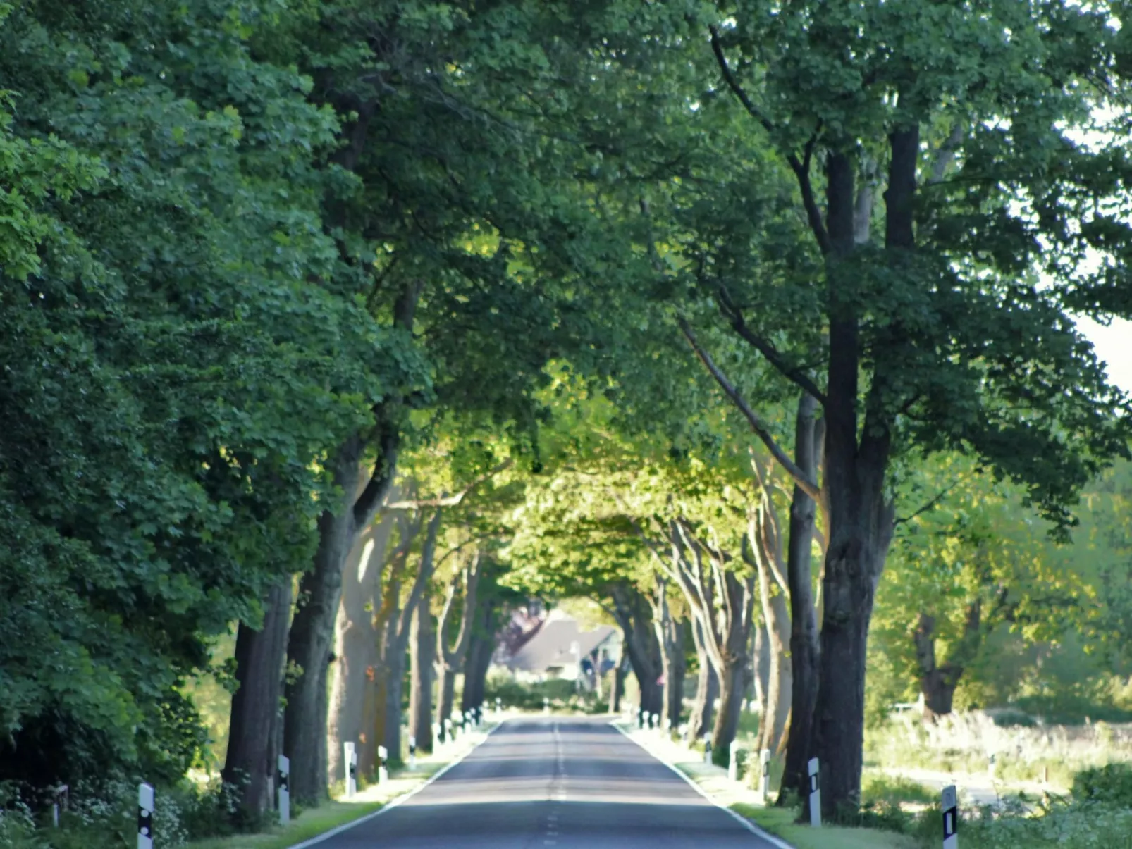 Strandnahe Wohnung mit Terrasse und Parkplatz-Dedans