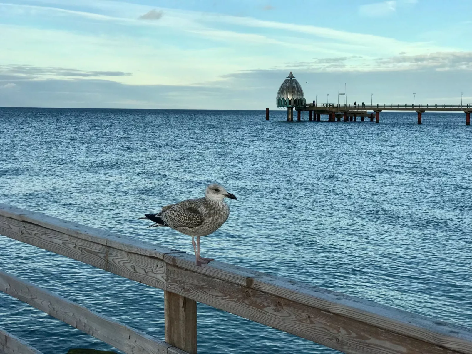 Wiesenblick 8-Dehors