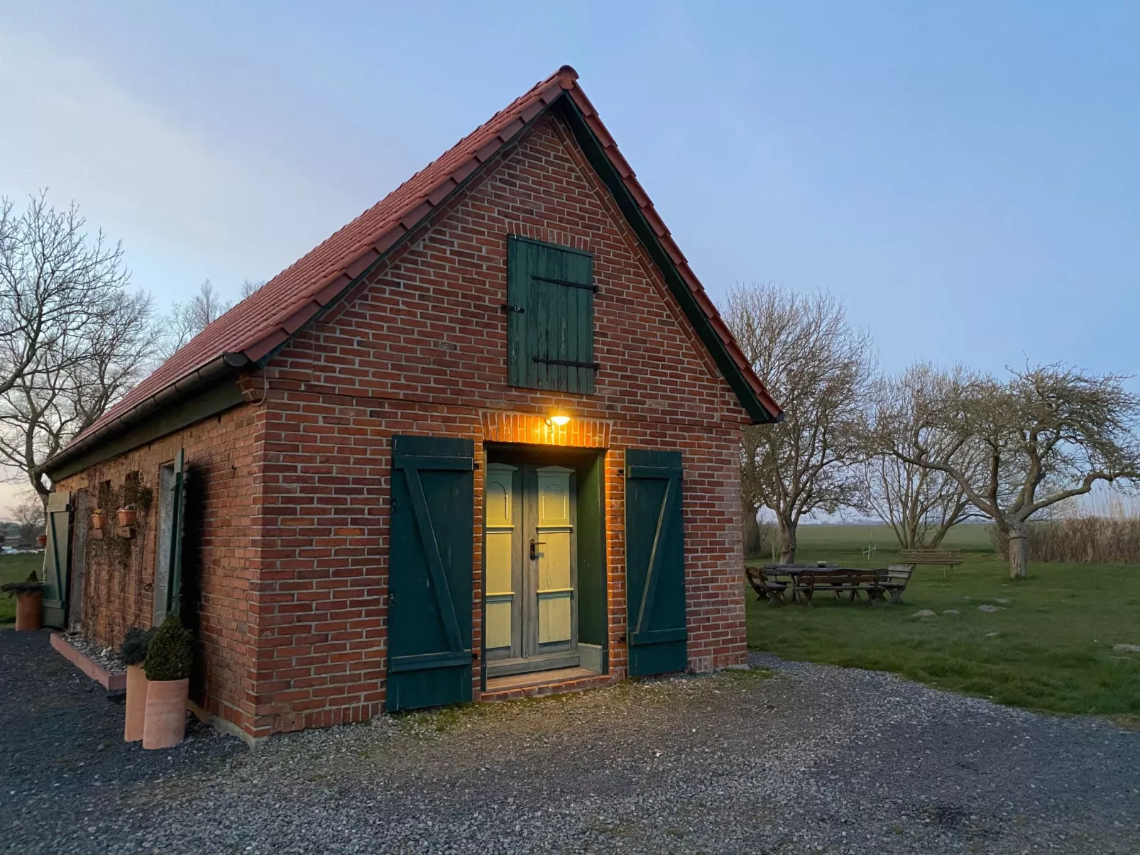 Kranich in Ummanz-Lüßvitz-Outside