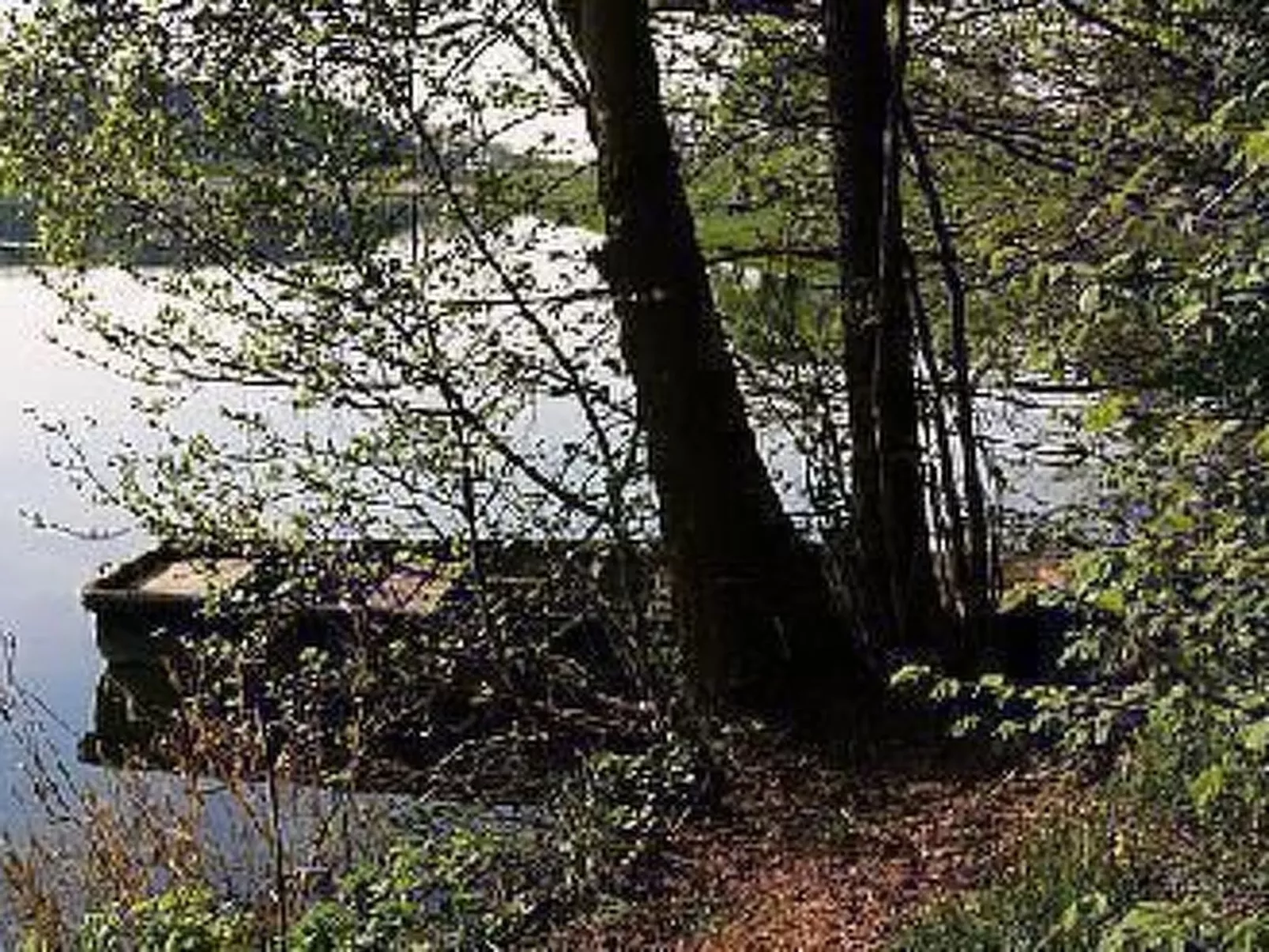 Ferien-Apartment  1-Dehors