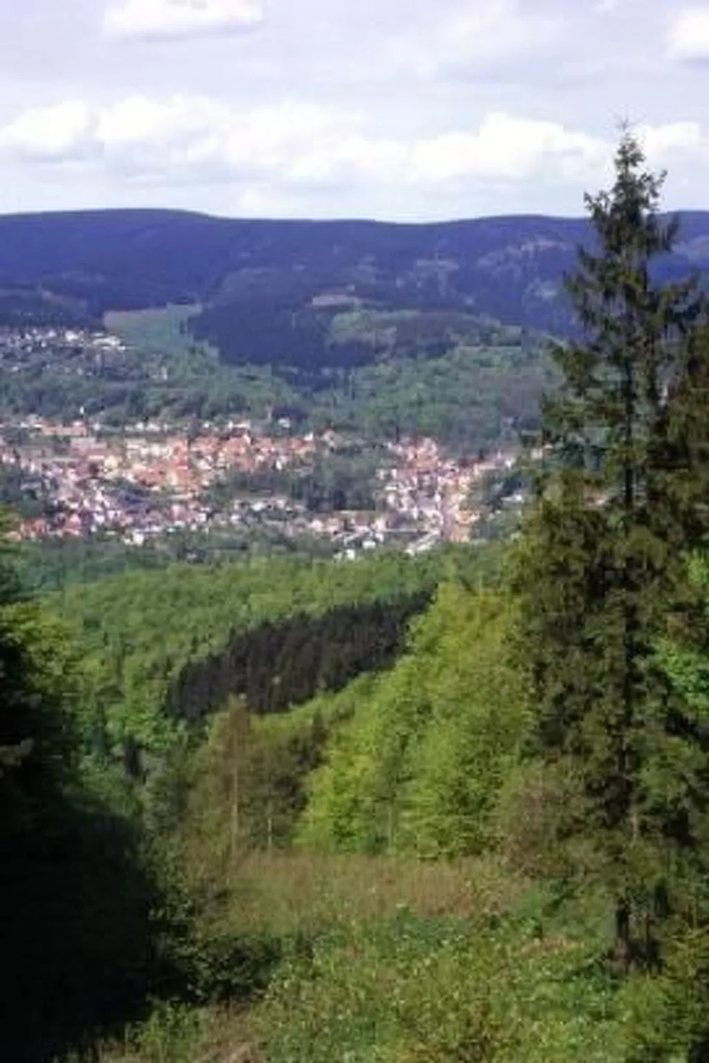 Gemütliche Ferienwohnung im Thüringer Wald-Dehors
