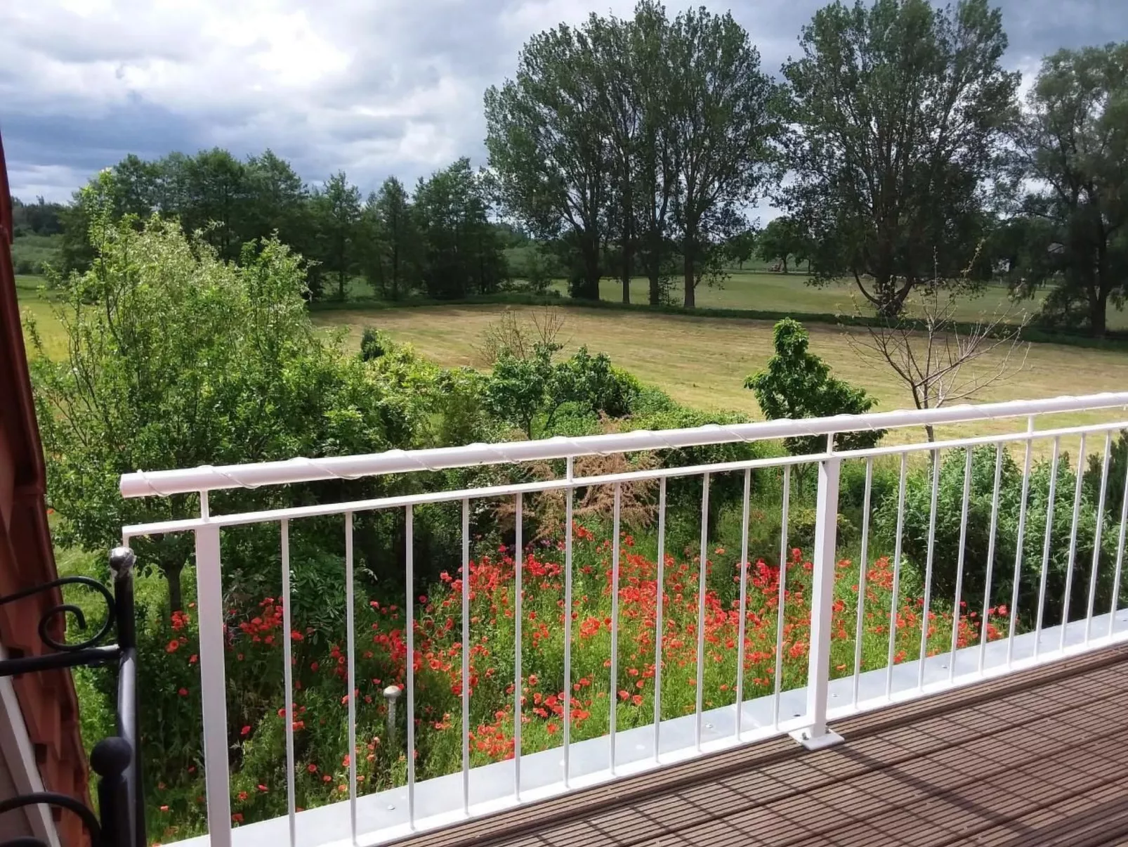 Schmetterling-Outside