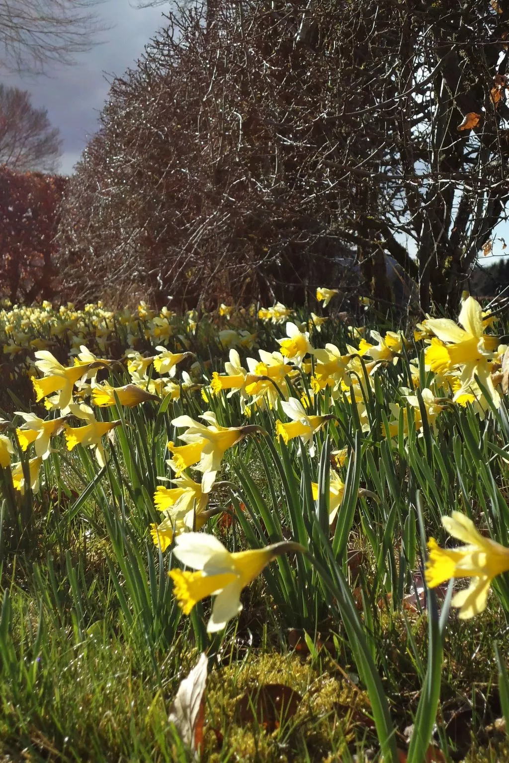 Am Hohen Venn-Outside