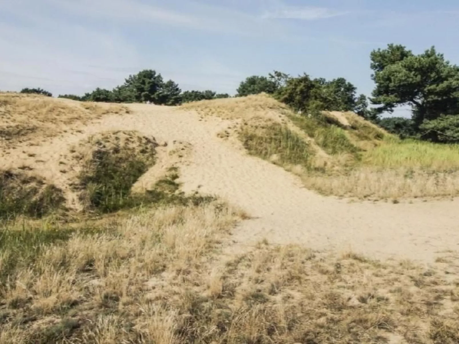In Altwarp mit Botanischem Garten-Draußen