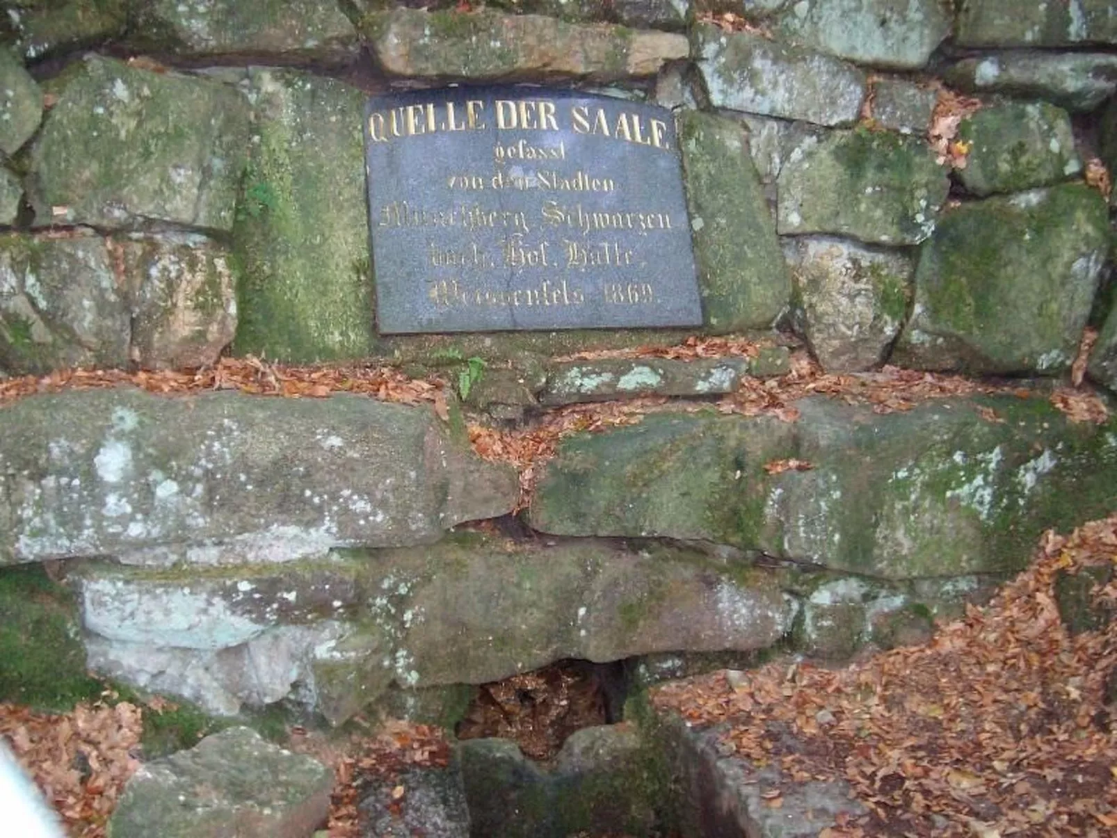 Auf einem Reiterhof-Draußen