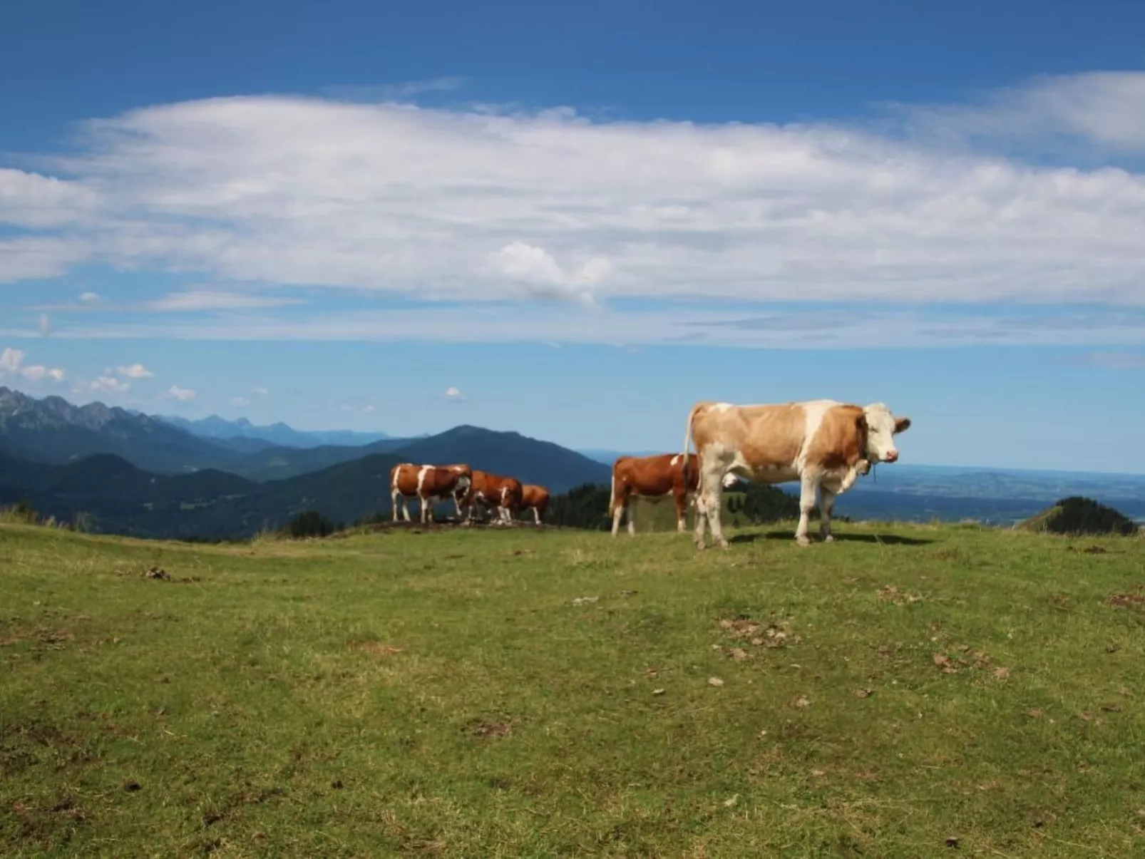 Mit Blick auf das Wasser-Outside