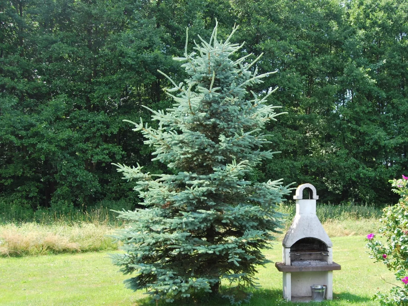 Fewo Stricker 13-Outside