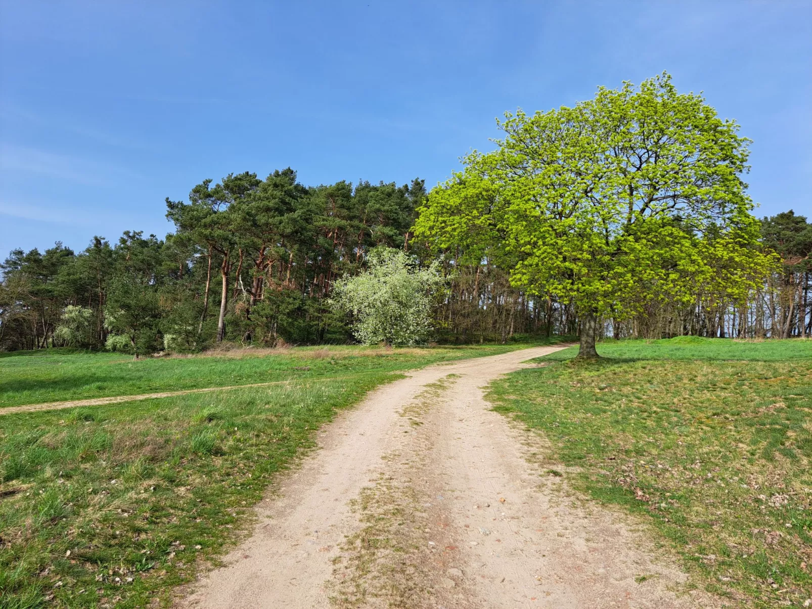 Fh "Molkenberg"-Outside