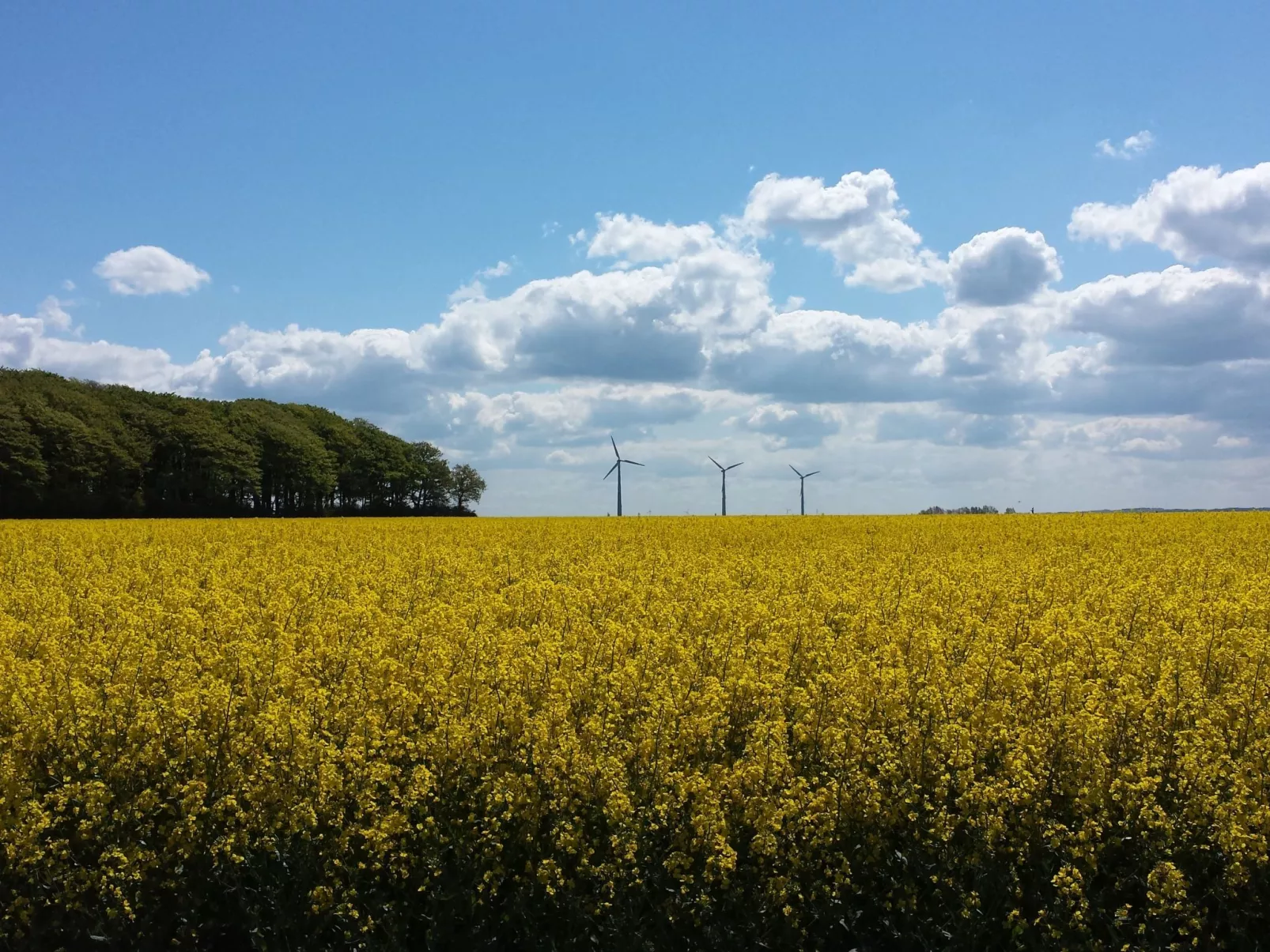 Ankerplatz in Börgerende-Rethwisch-Outside