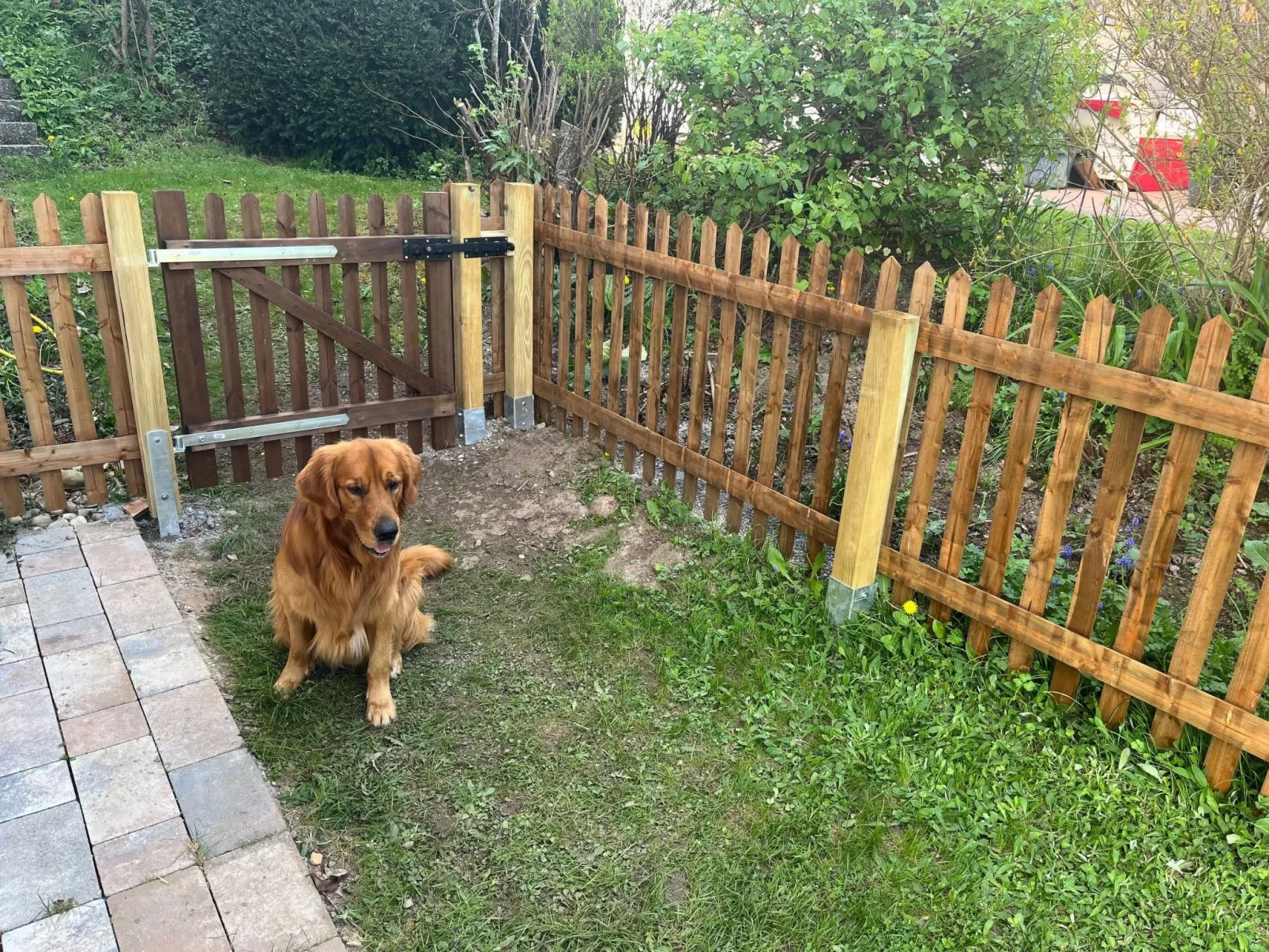 Reiser-Image-tags.info