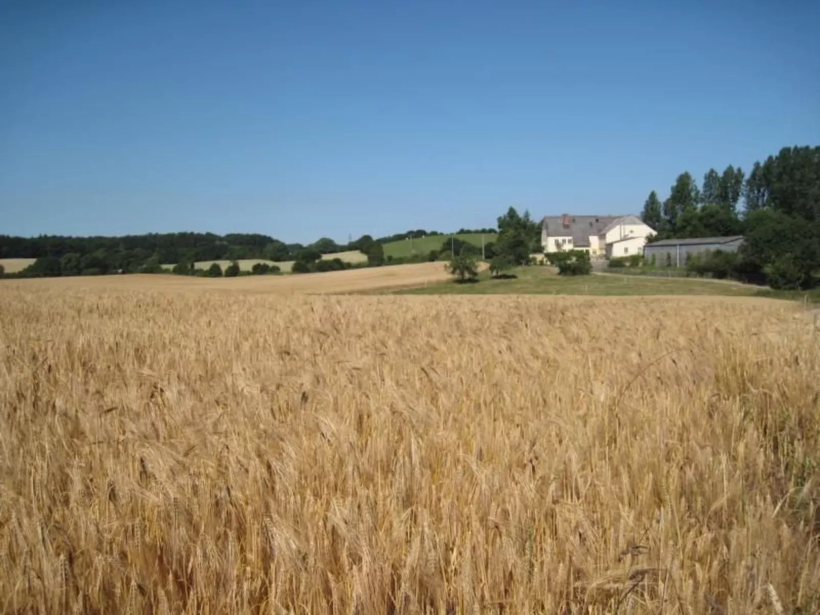 Hof Rodenkrog Fewo 1-Dehors